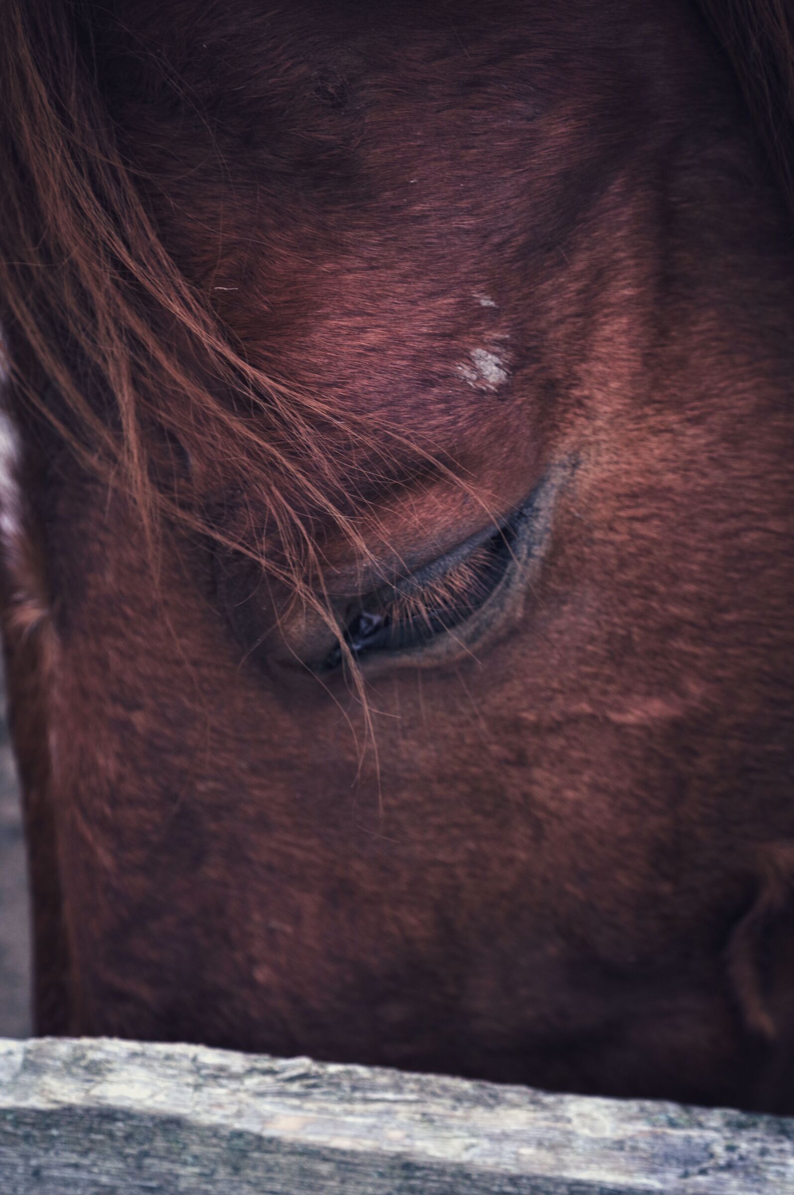 Untitled Photo