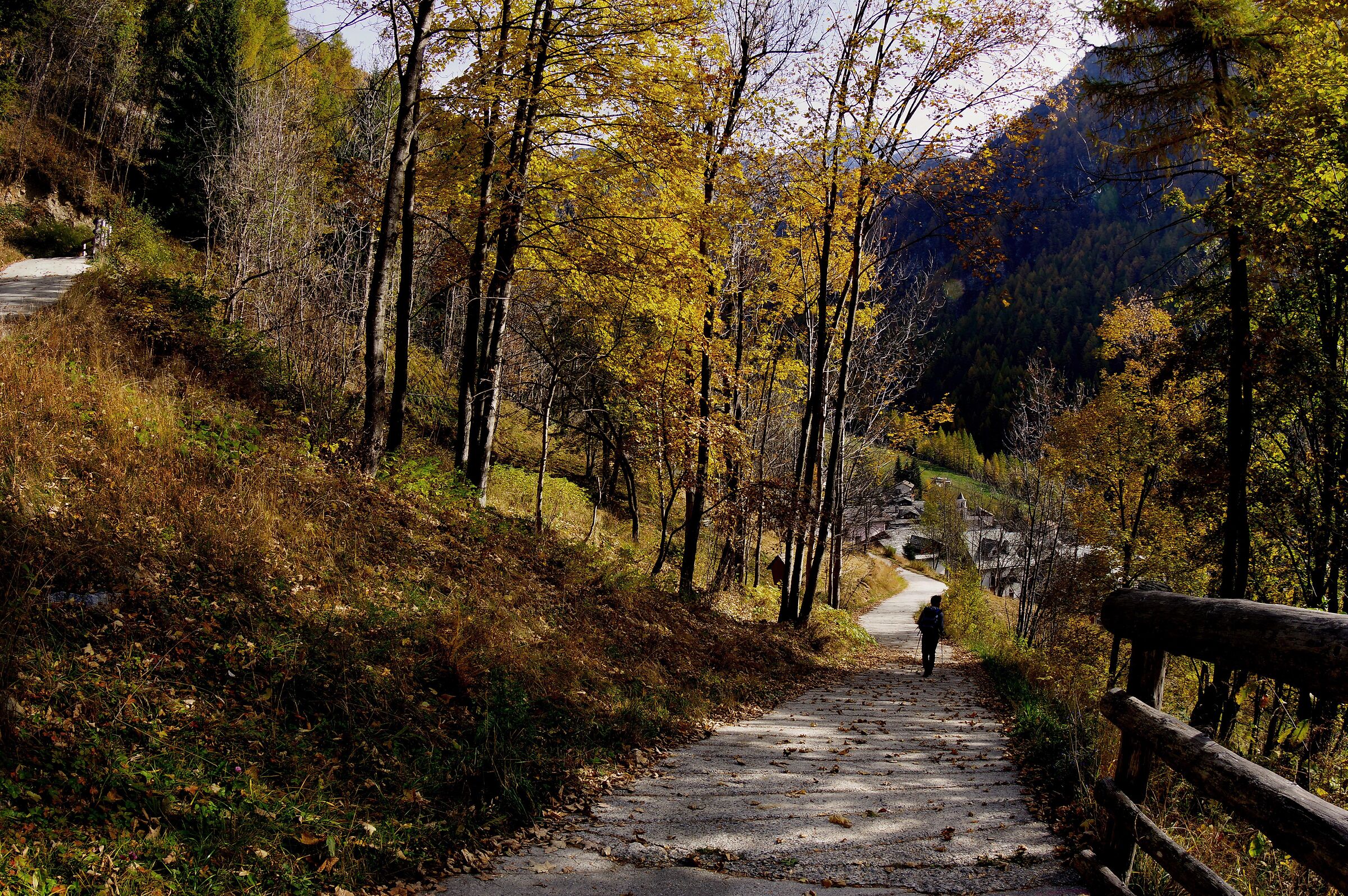 Fraciscio
