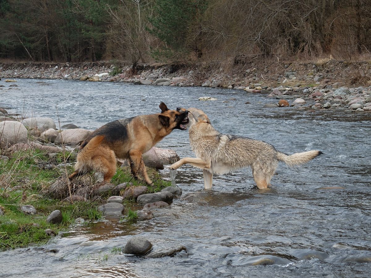 Tessa e Yuma torrente Fersina