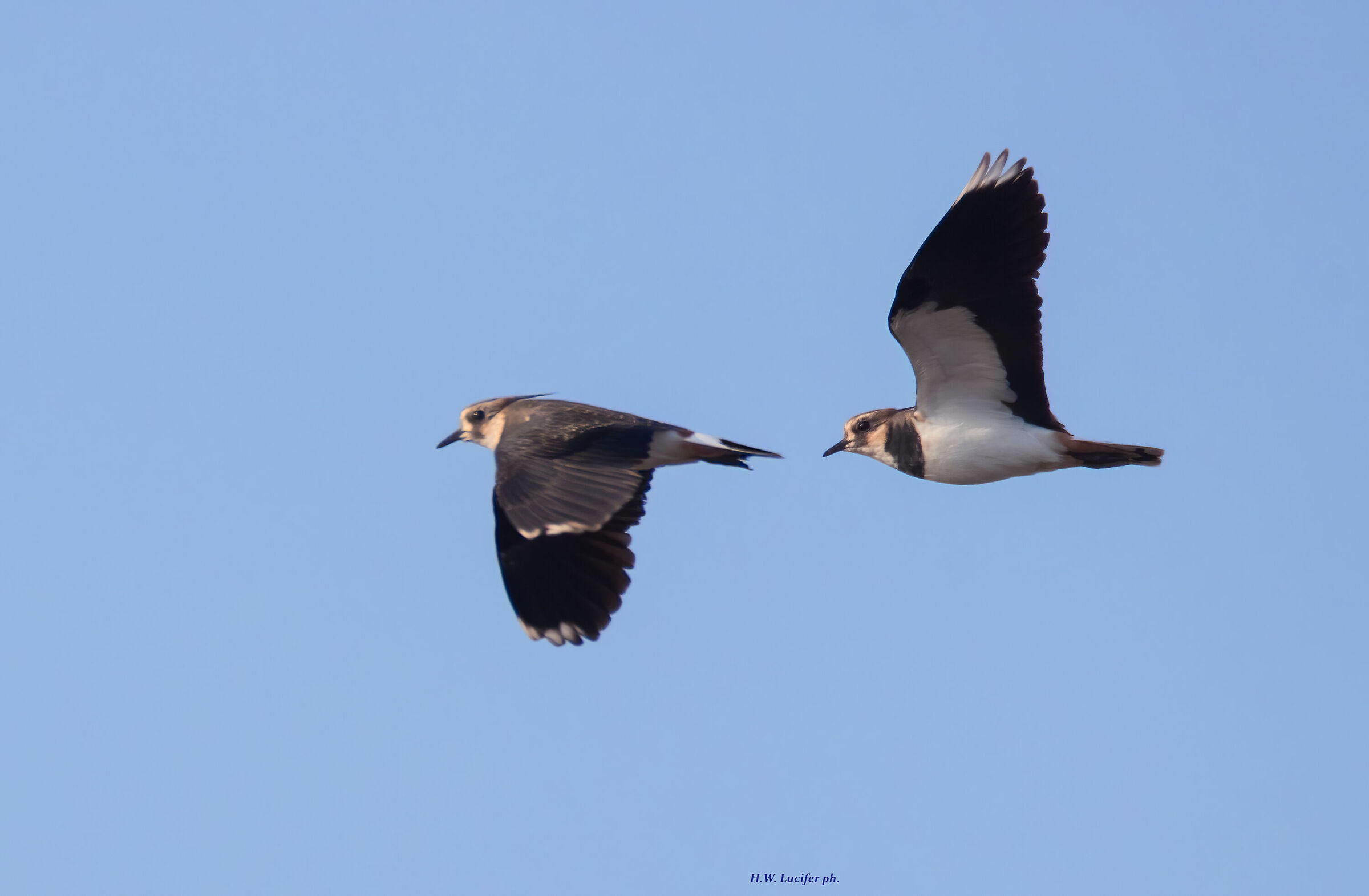 Two is better than one