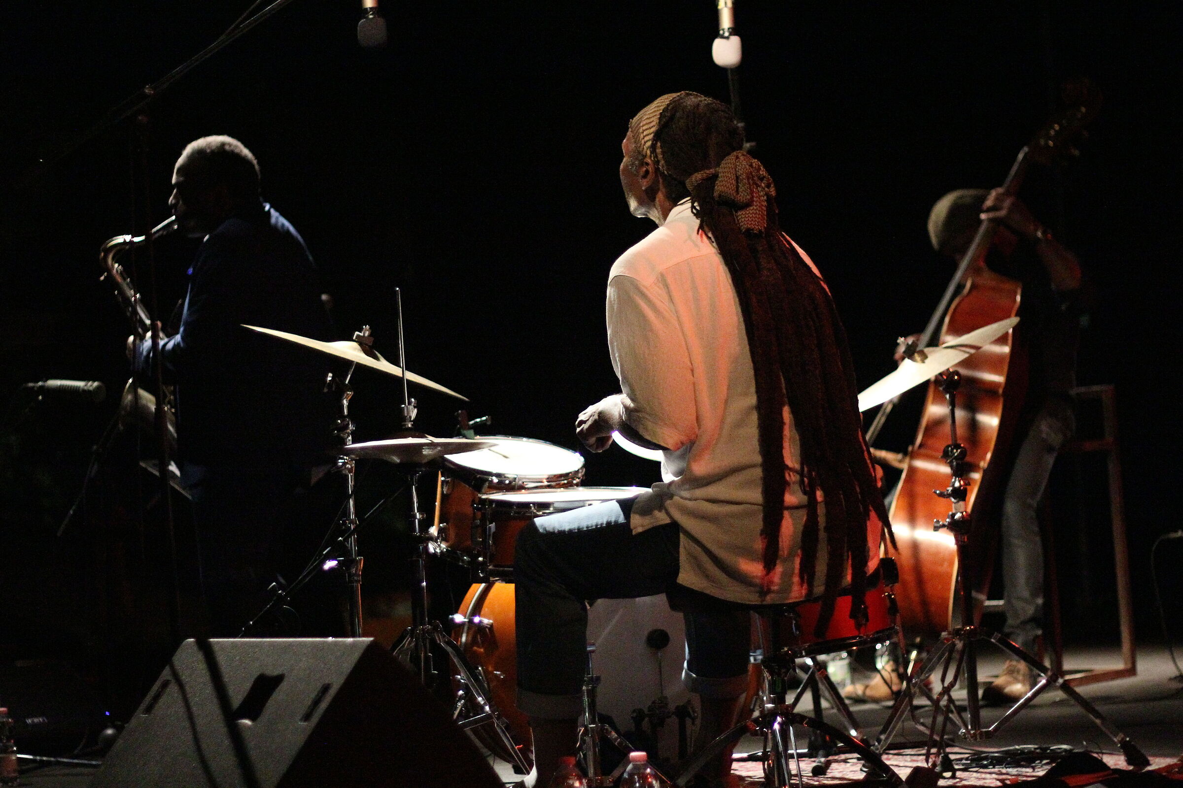 Brave New World Trio (Murray, Drake, Jones)