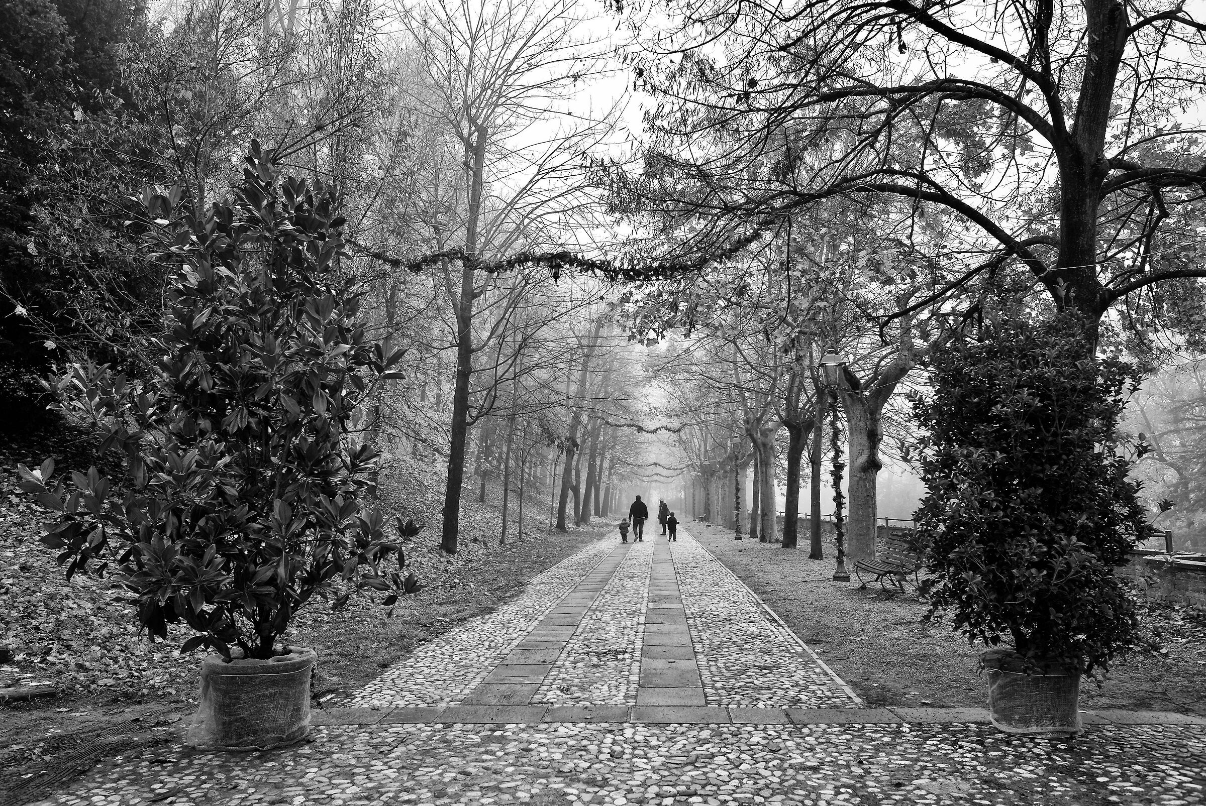 Passeggiata nel parco