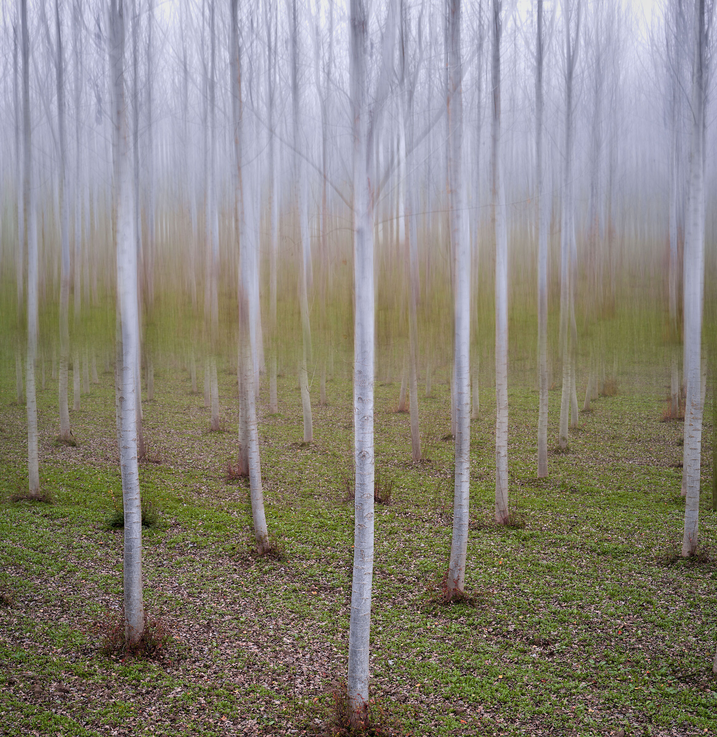 Evanescent Floodplain