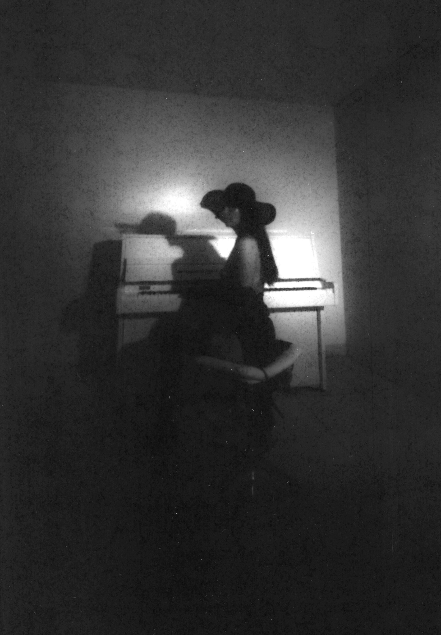 The woman at the piano 3