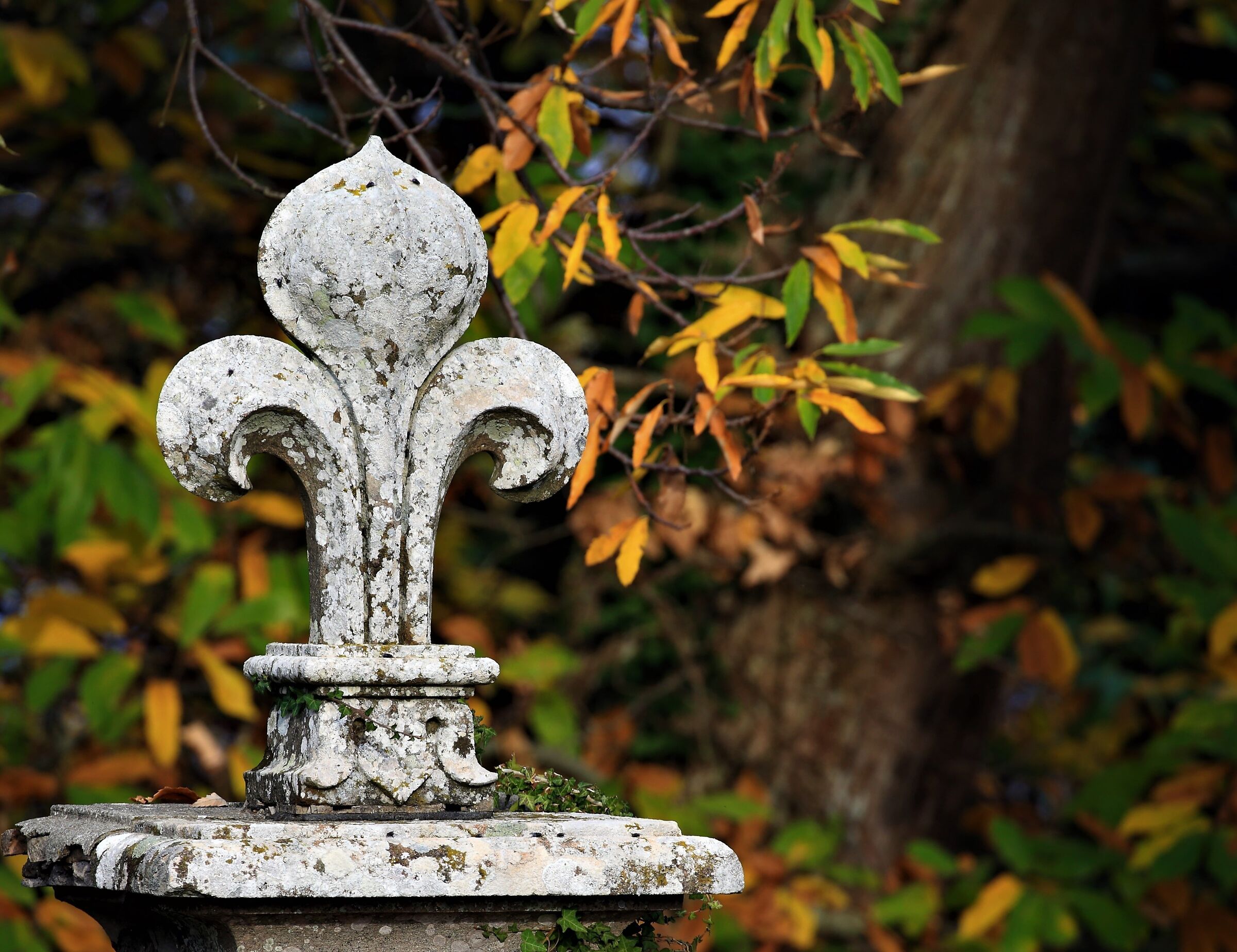 Naturalismo rinascimentale