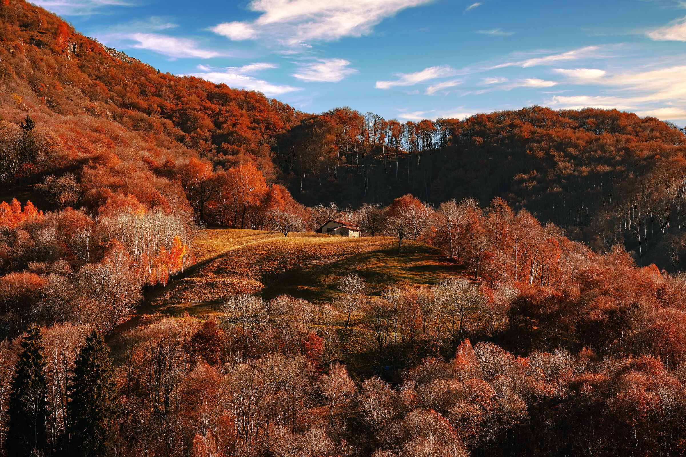Vieni c'è una Casa nel bosco ............