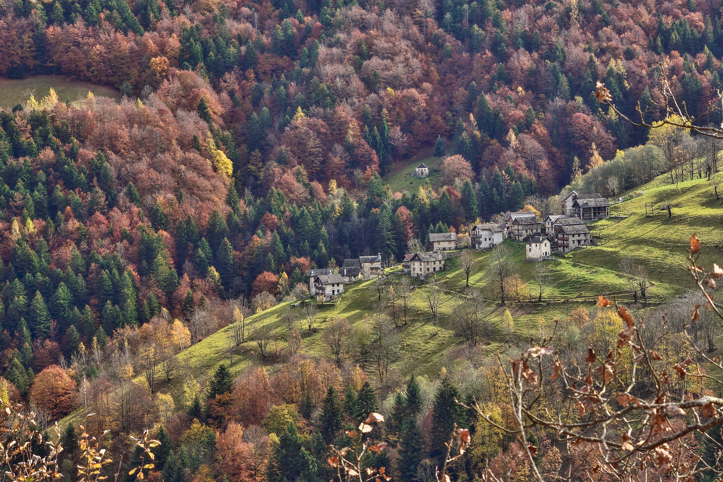 autunno 2020 ValSesia-Val Mastallone