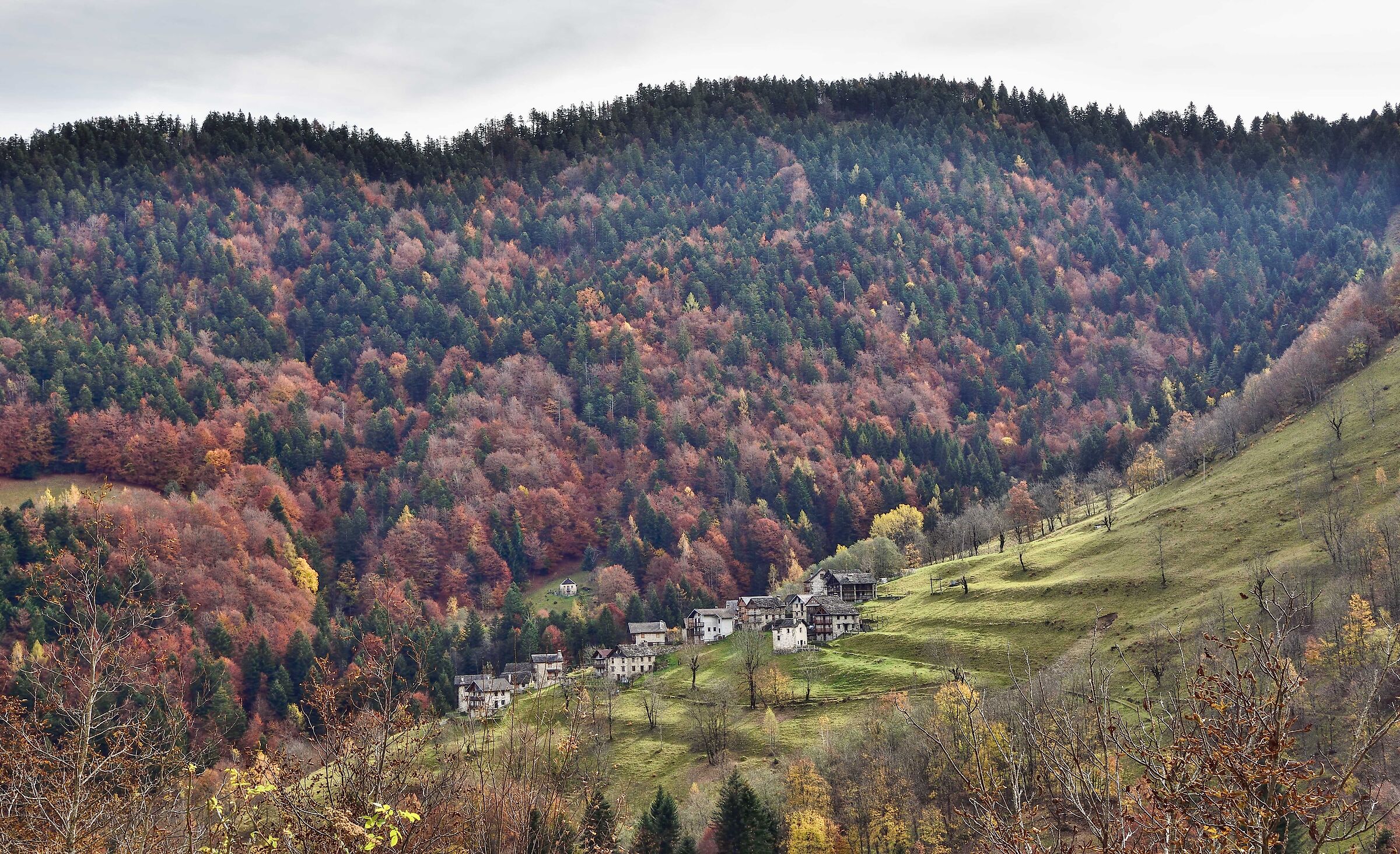 autunno 2020 ValSesia-Val Mastallone
