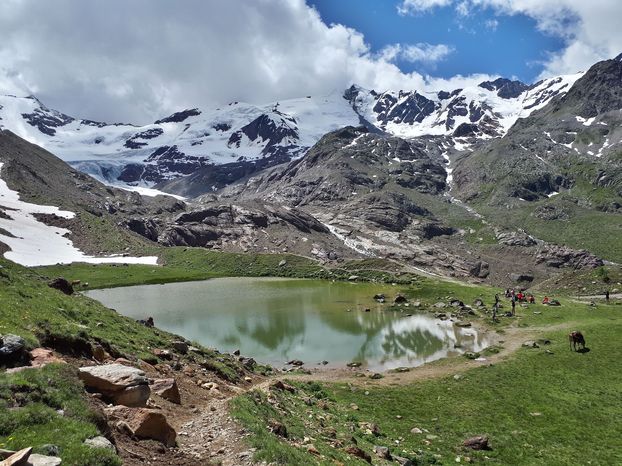 Ghiacciaio dei Forni - rifugio Branca