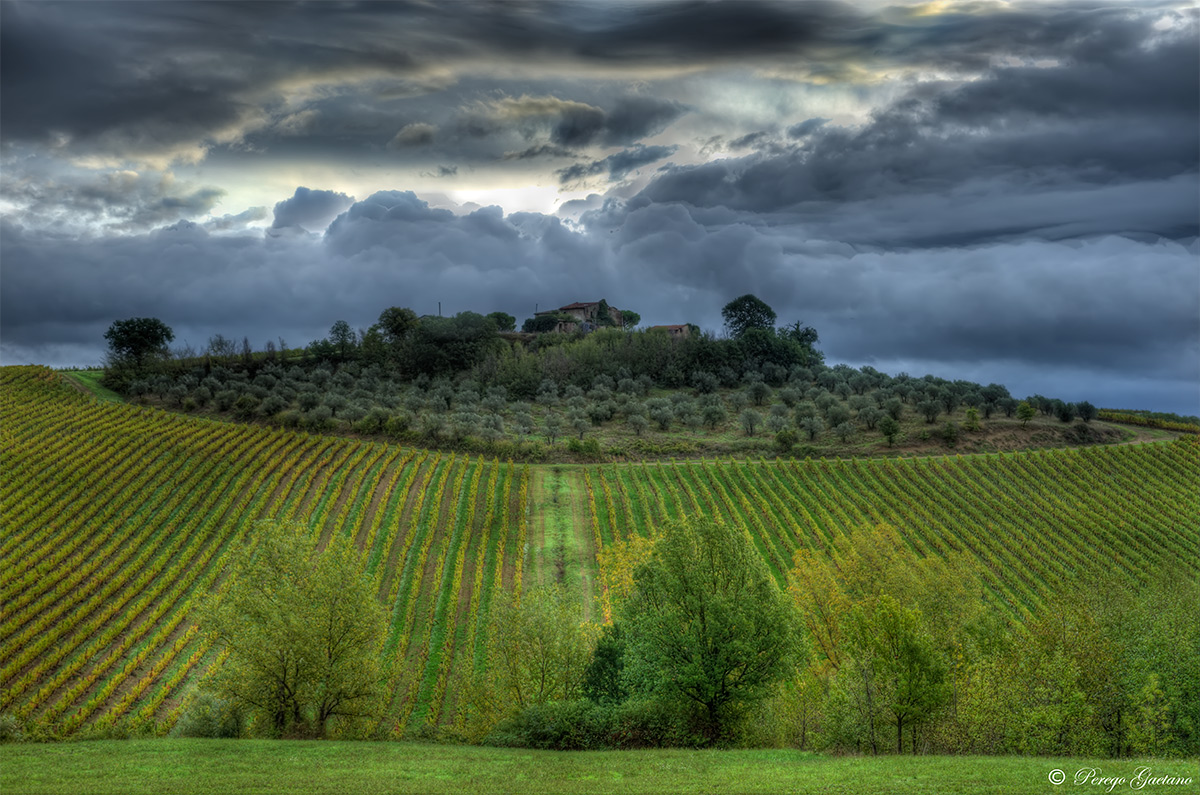 Vigne e ulivi Umbri versione HDR