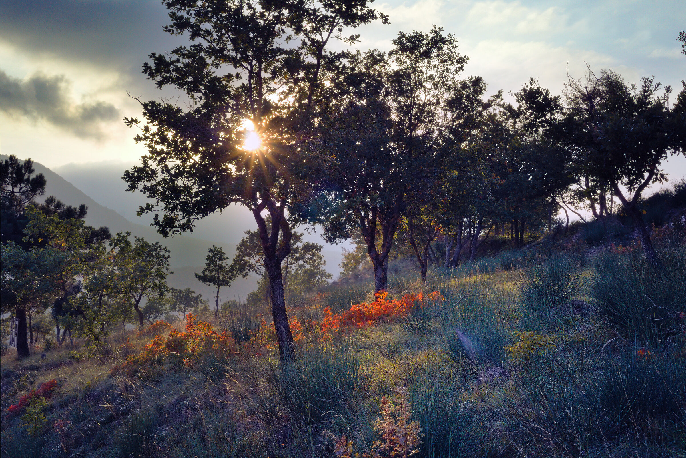 Sulle orme di San Silvestro