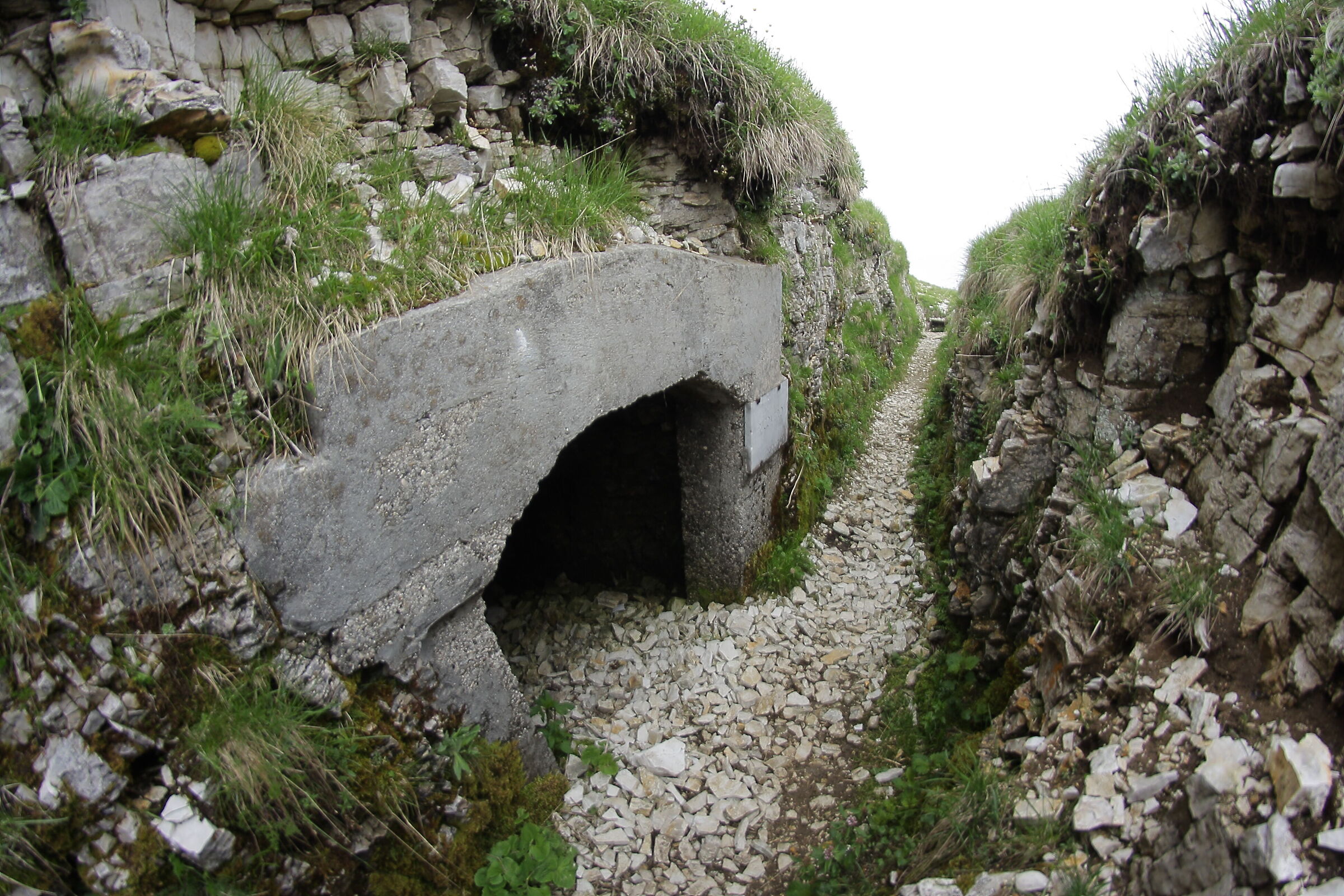 Storia di umanità, tra trincea e terra di nessuno