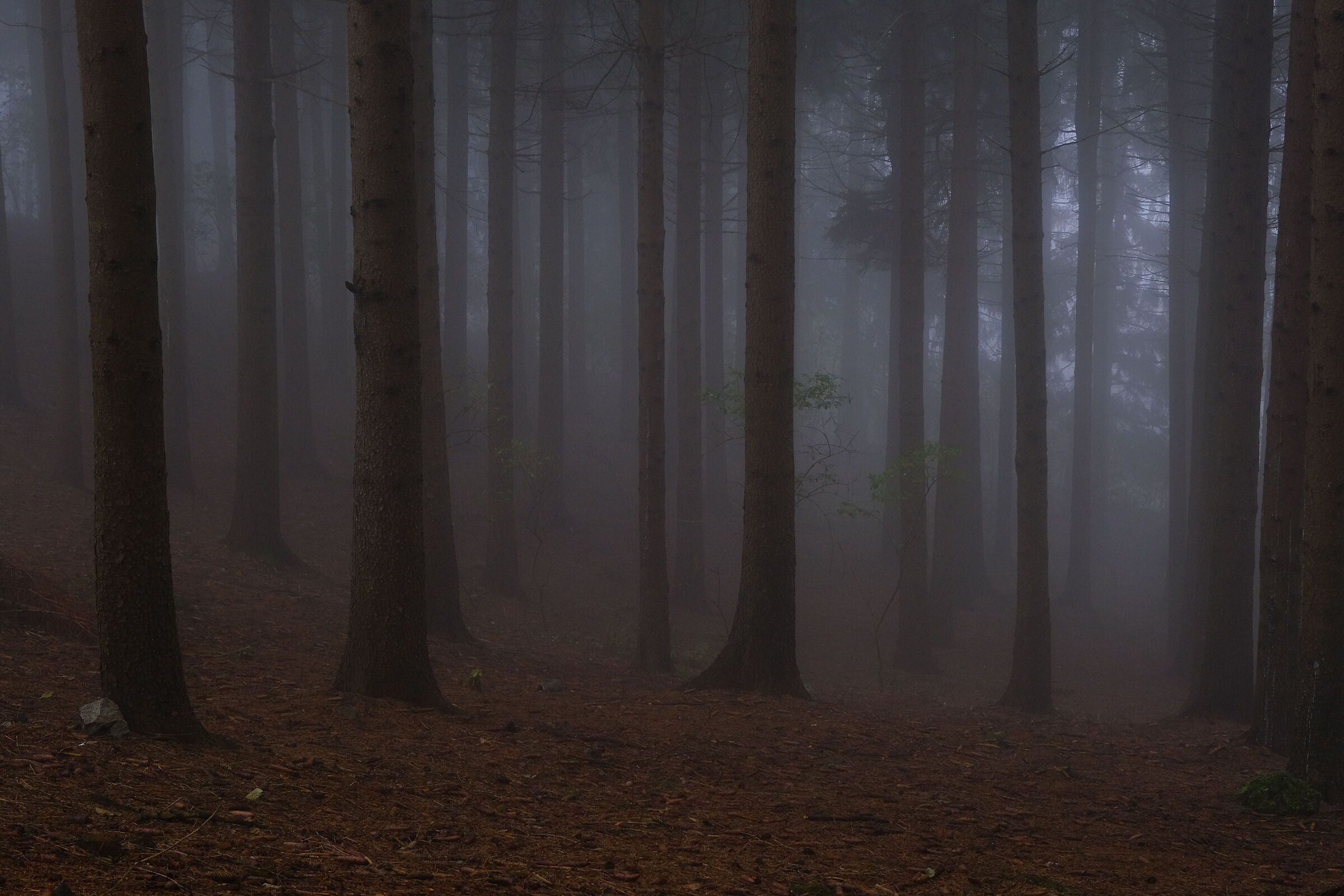 Sogno di una mattina di (quasi) inverno
