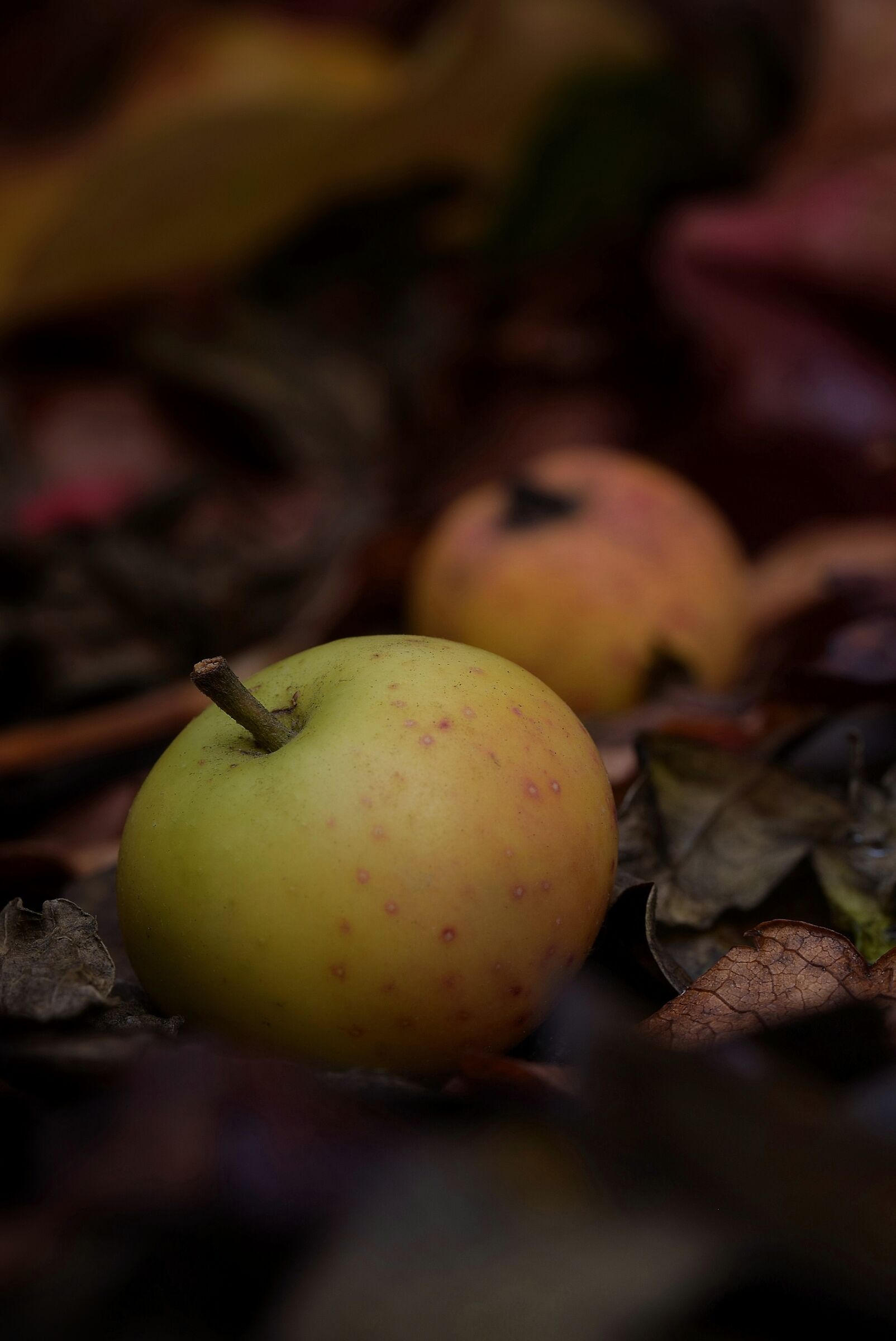 Untitled Photo