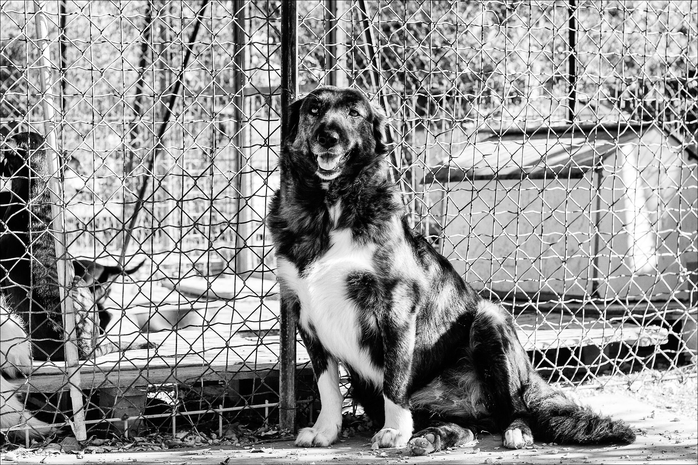 Maia, al rifugio Ohana