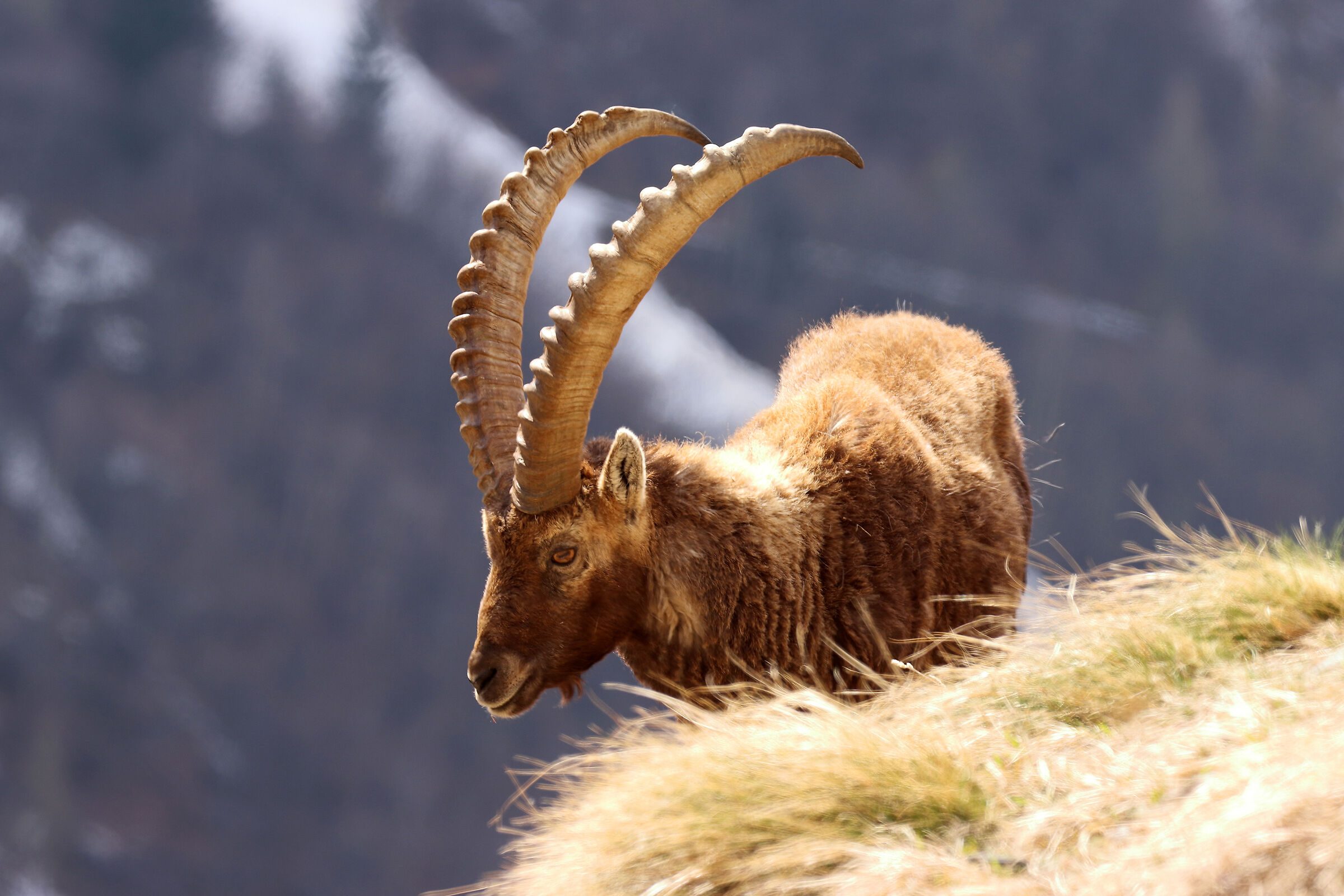 possente e illuminato