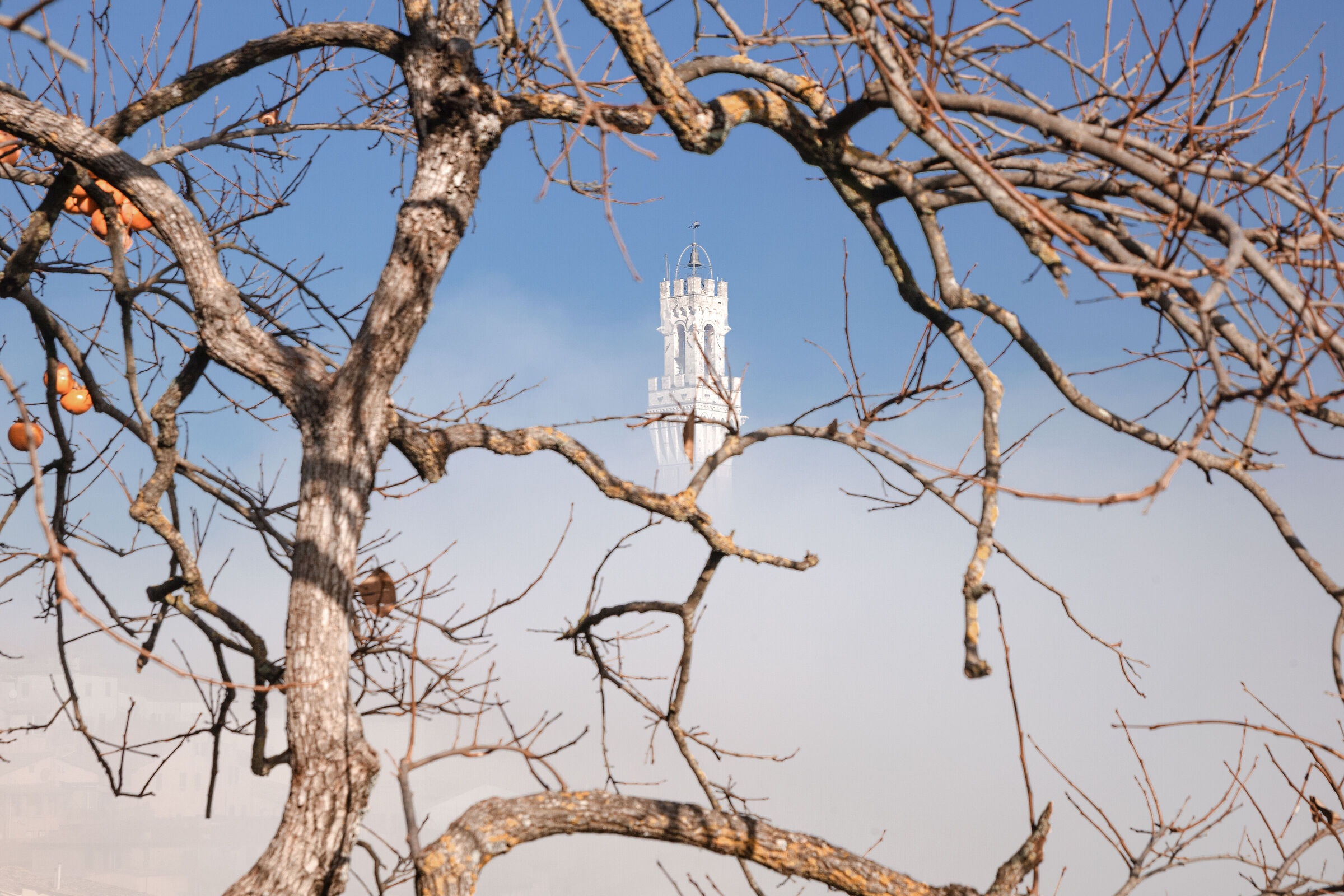 In un mare di vapore d'acqua
