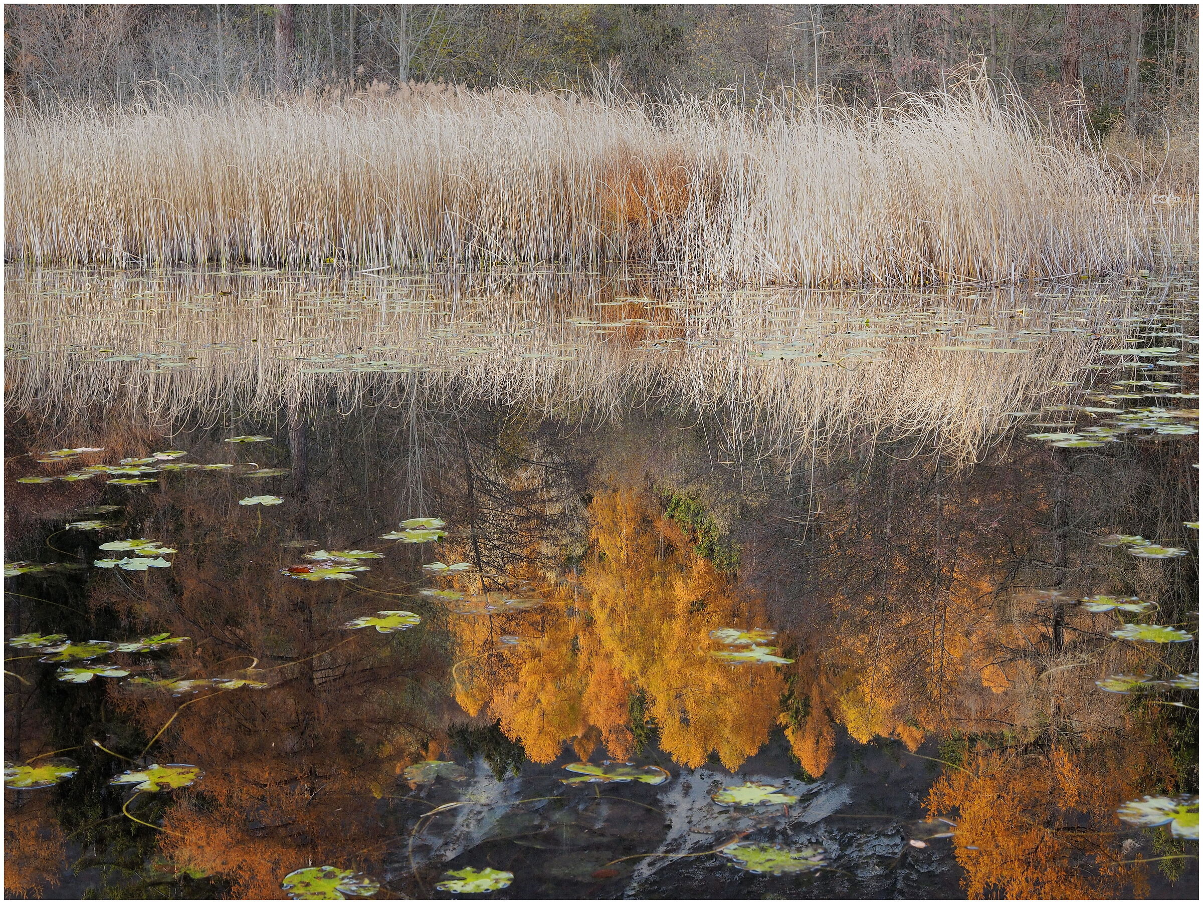flames in the water