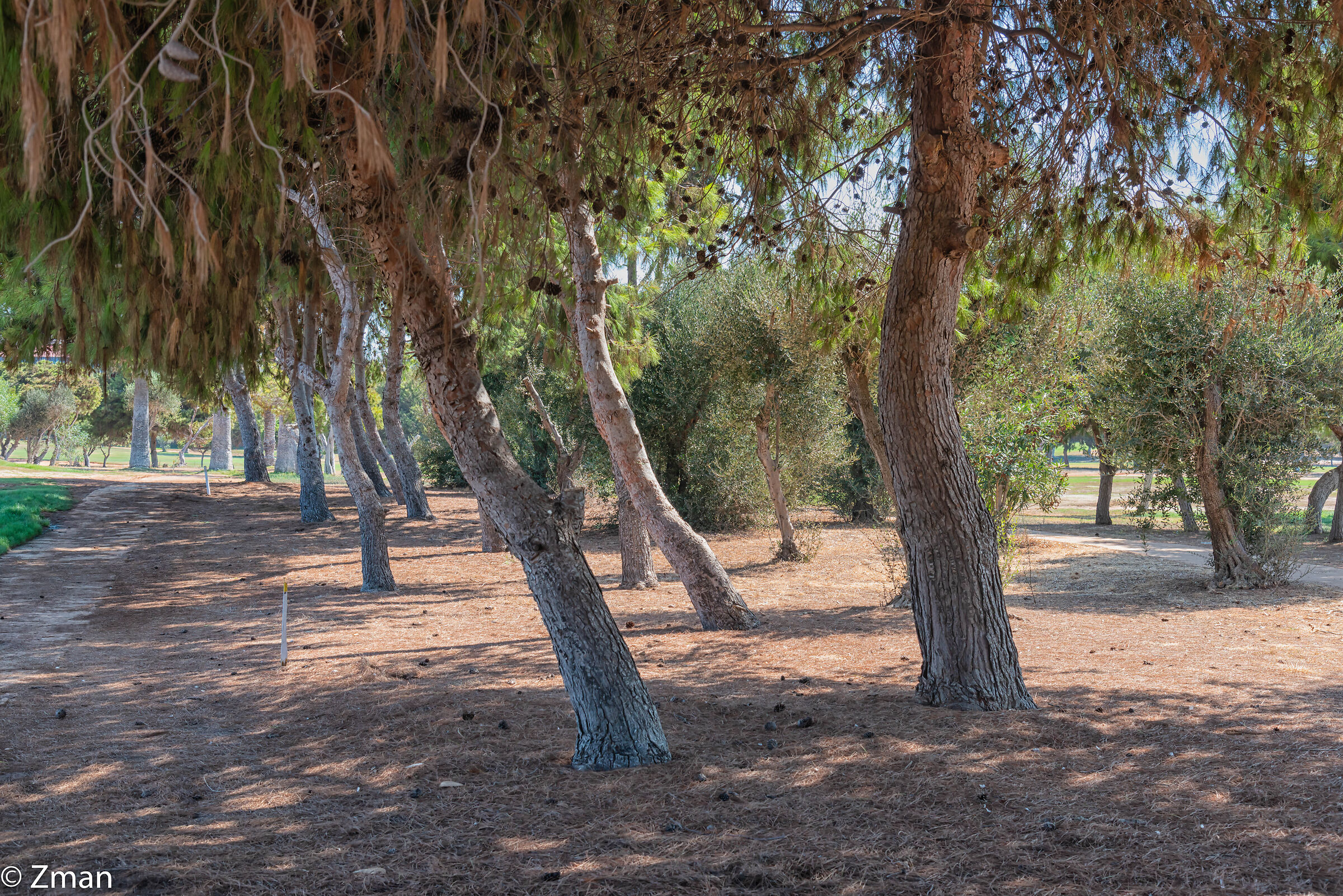 Il Golf Club Libanese