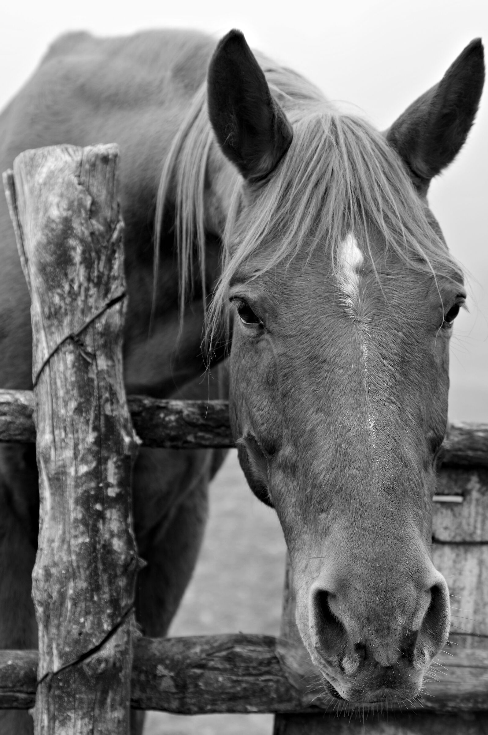 Untitled Photo