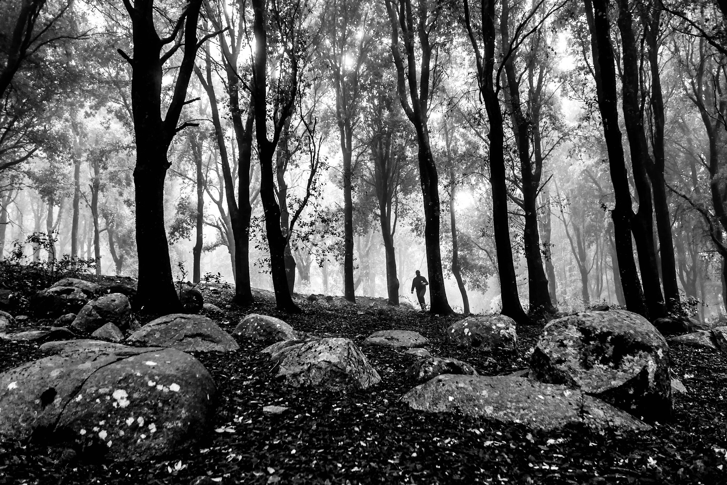 A man alone in the woods