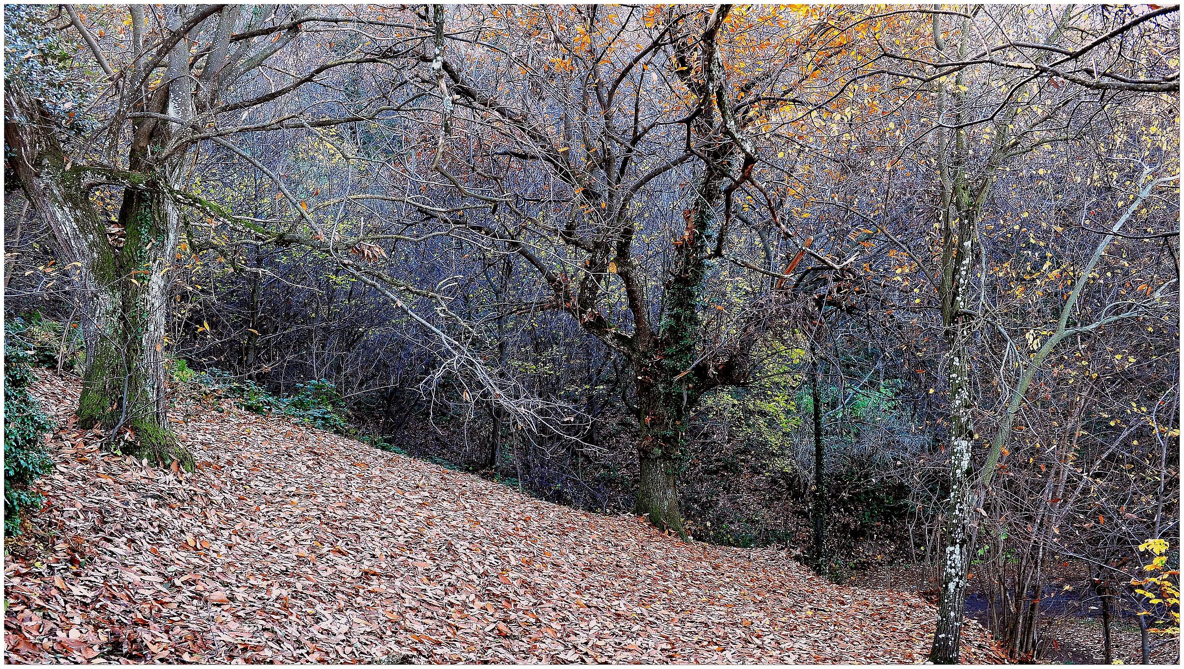 Winter is pressing..........