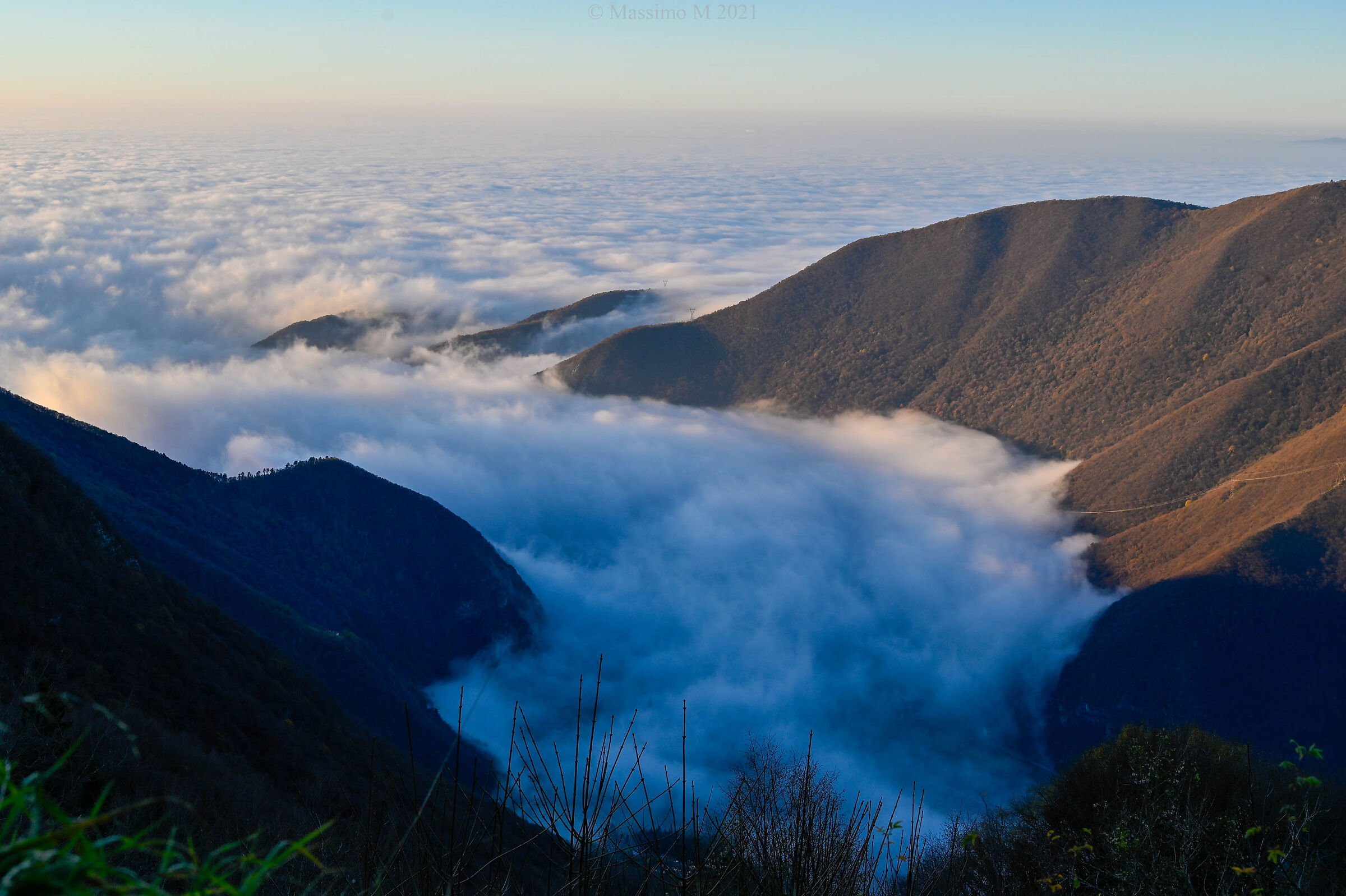 Nebbia