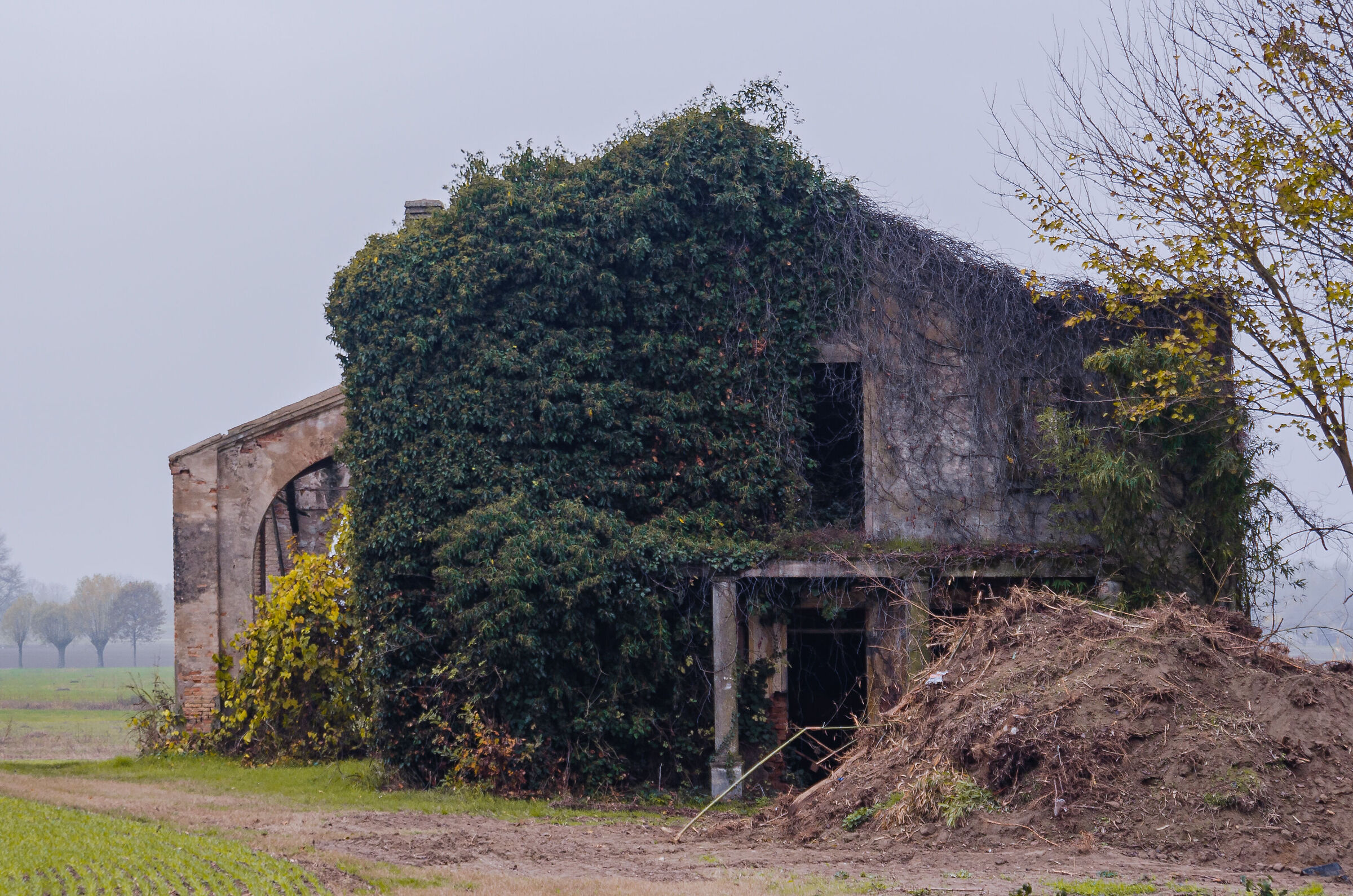 Mary's House