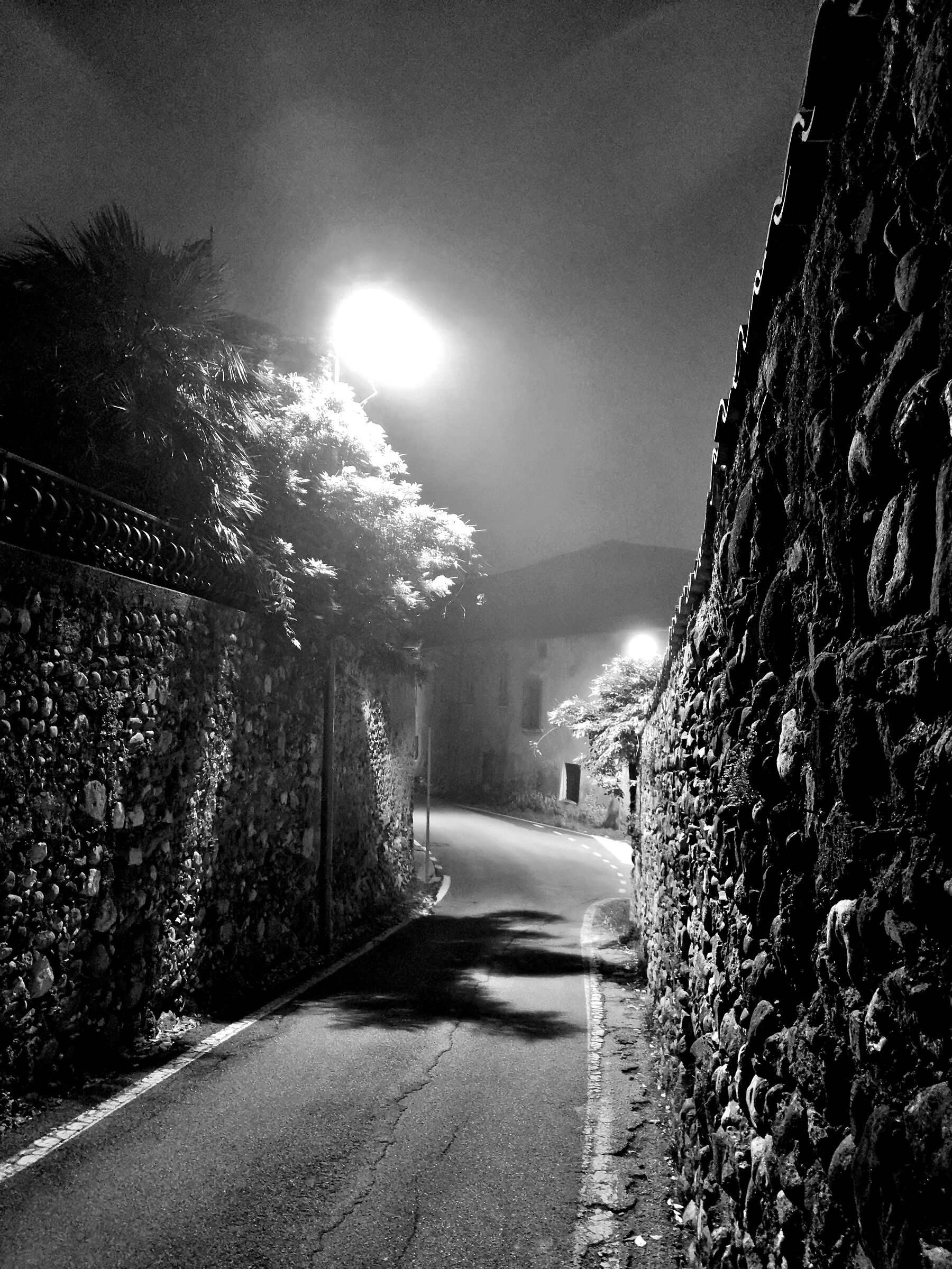 Sera di nebbia a Novembre VI