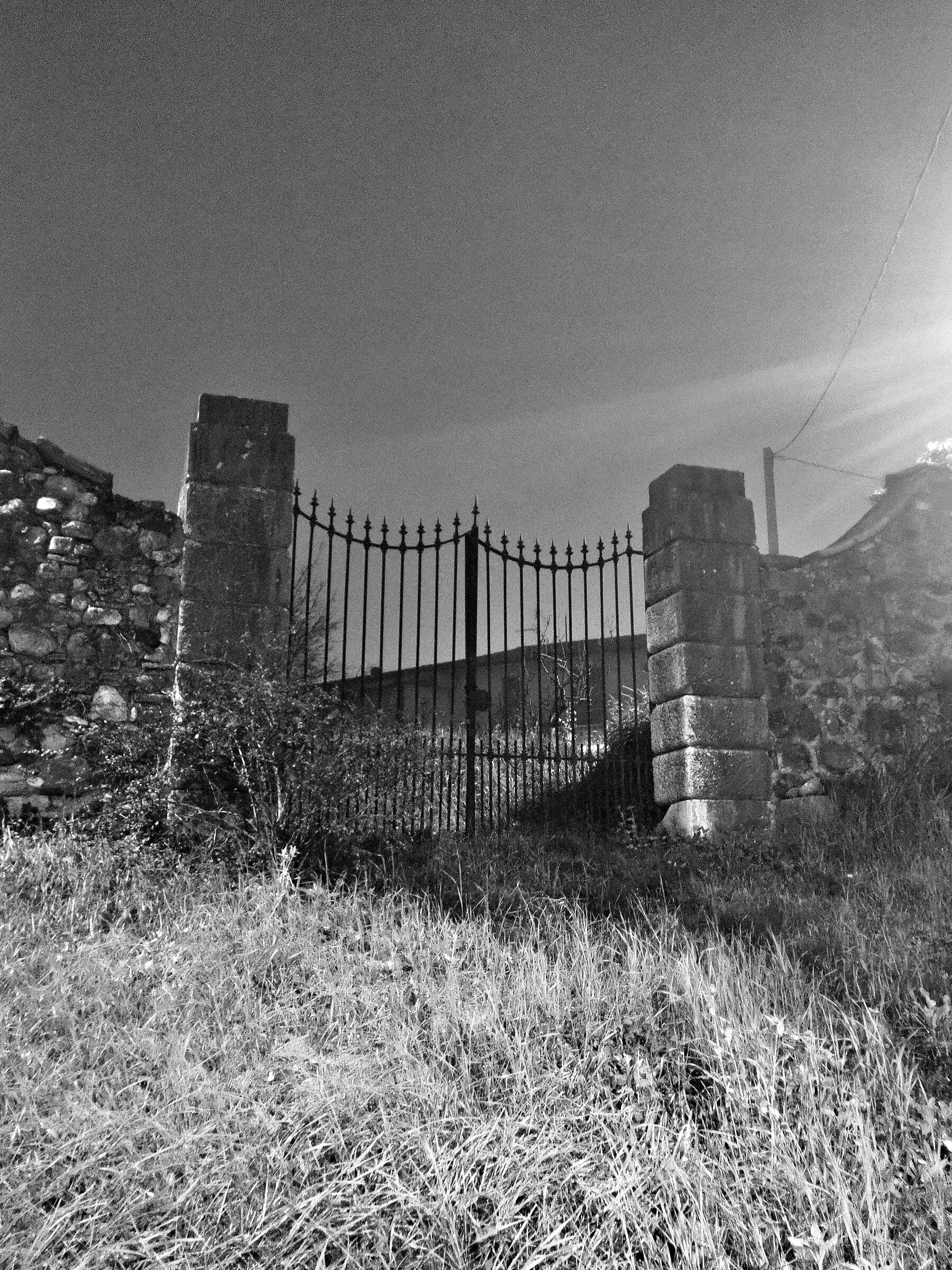 Sera di nebbia a Novembre VII