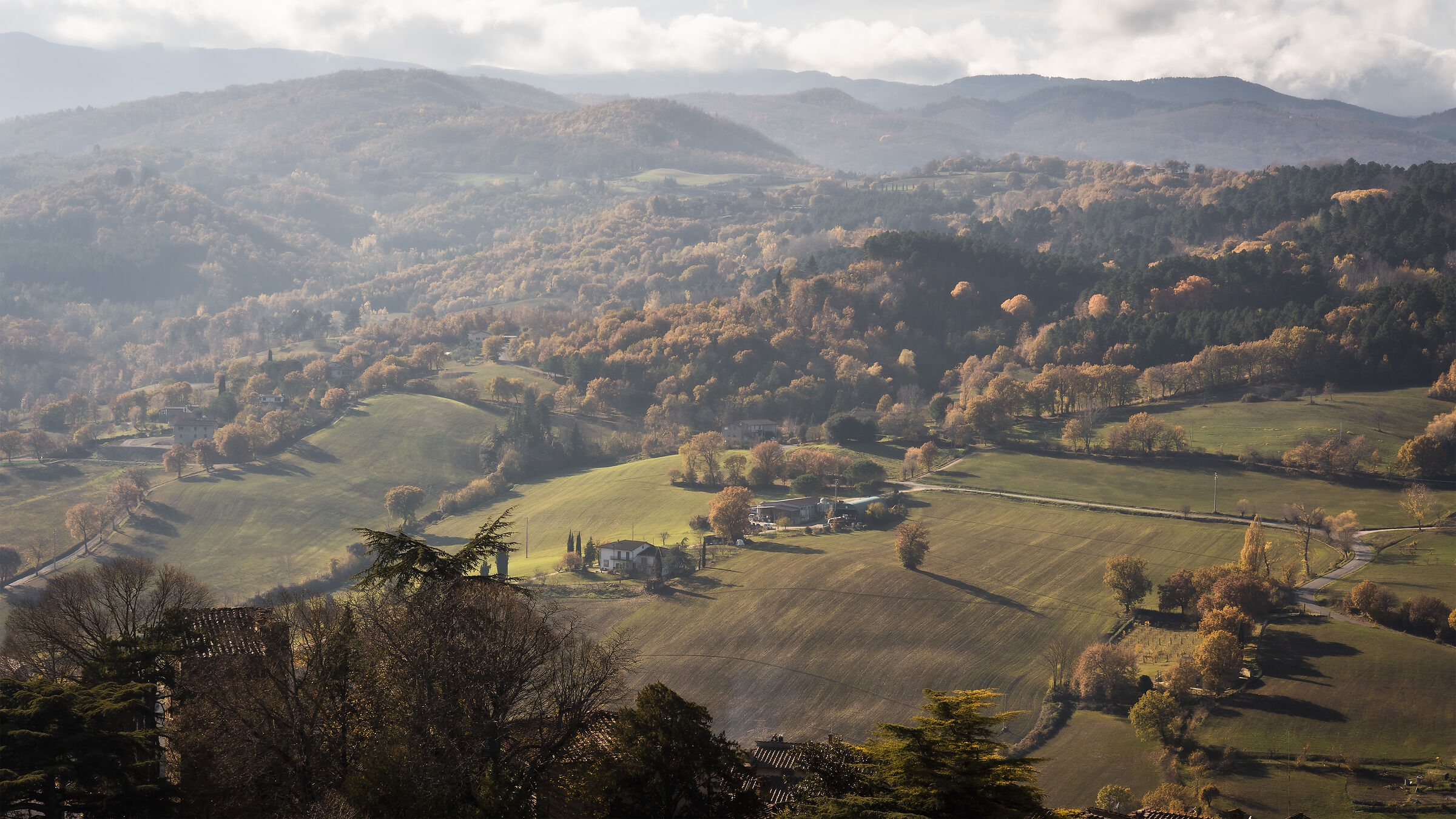 Casentino - November 2021