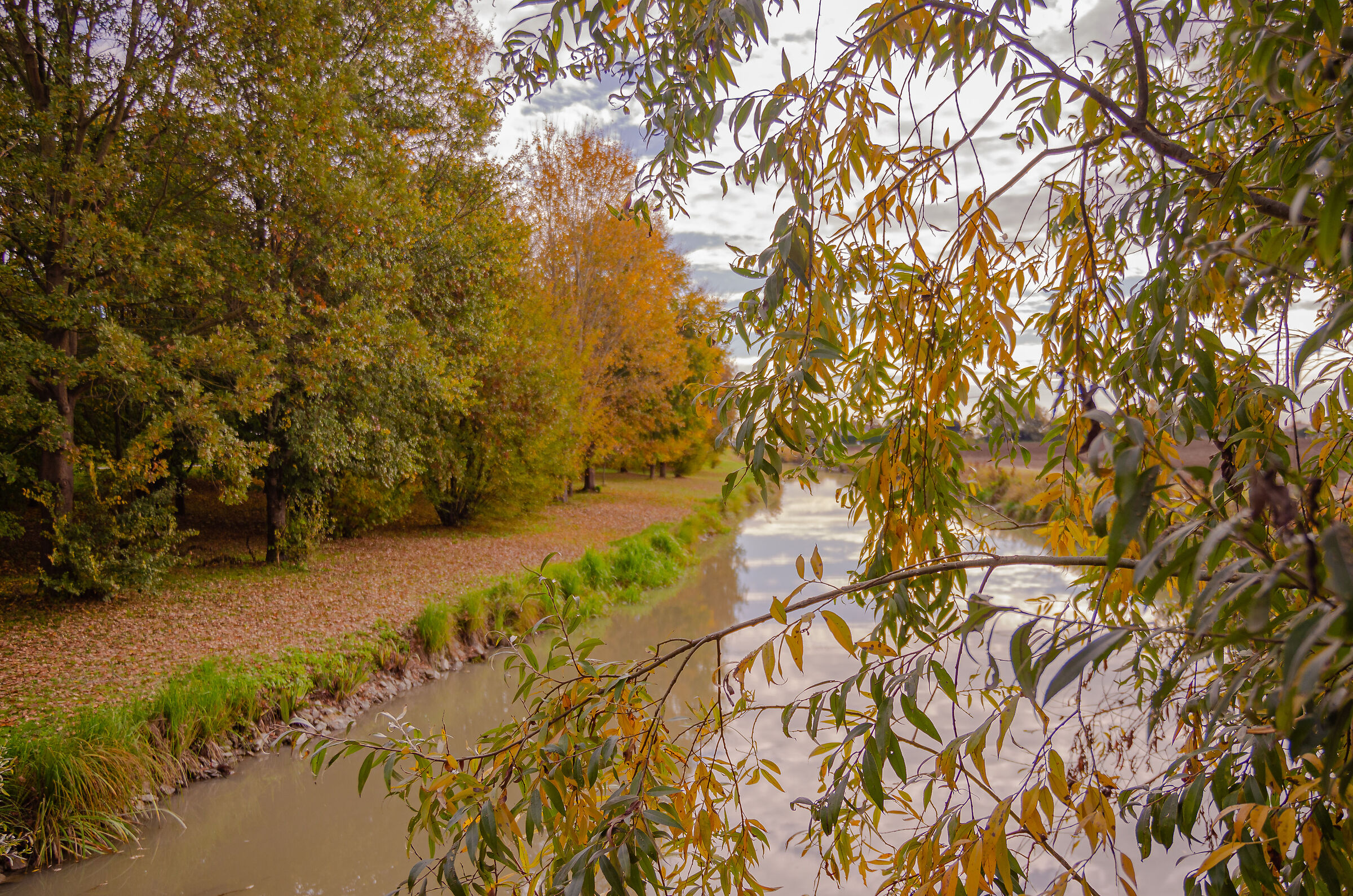 The river of the park