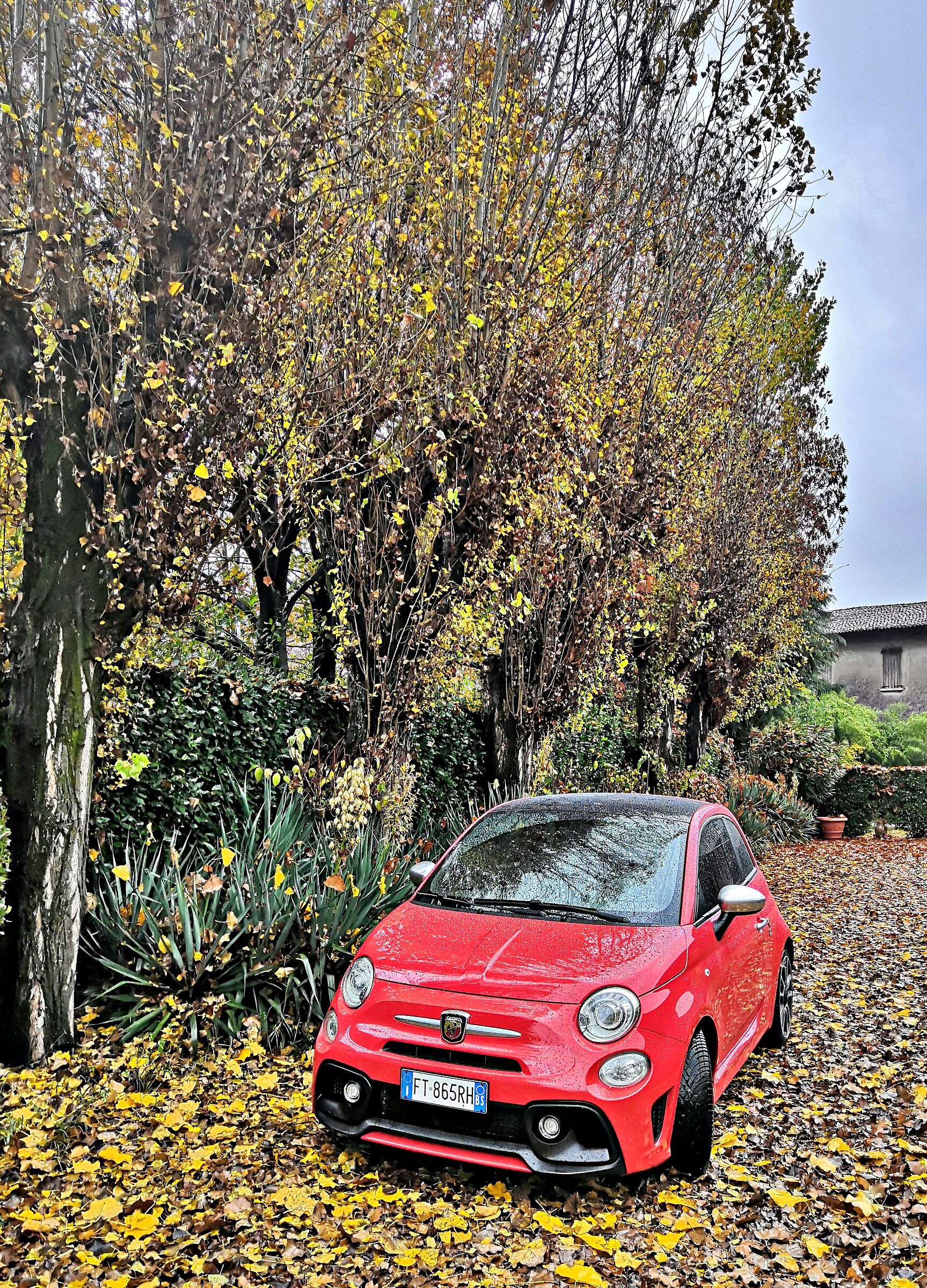 Abarth 595 su viale alberato