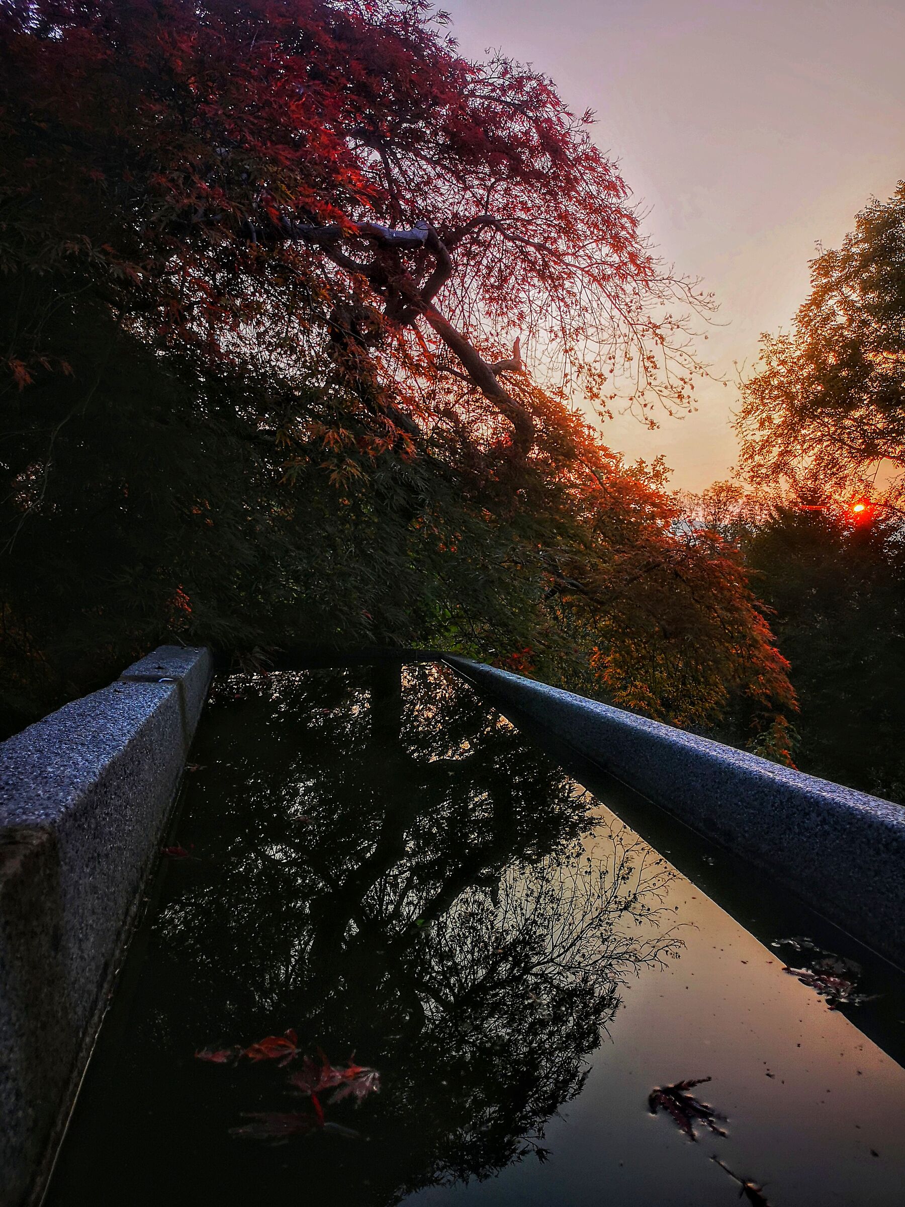 Vasca al tramonto