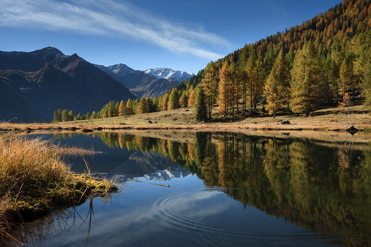 Mezzogiorno al laghetto di Covel ...