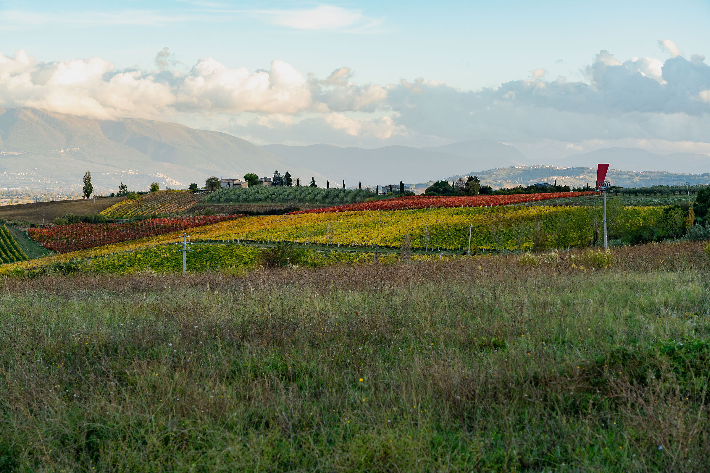 Autunno nella terra del sagrantino