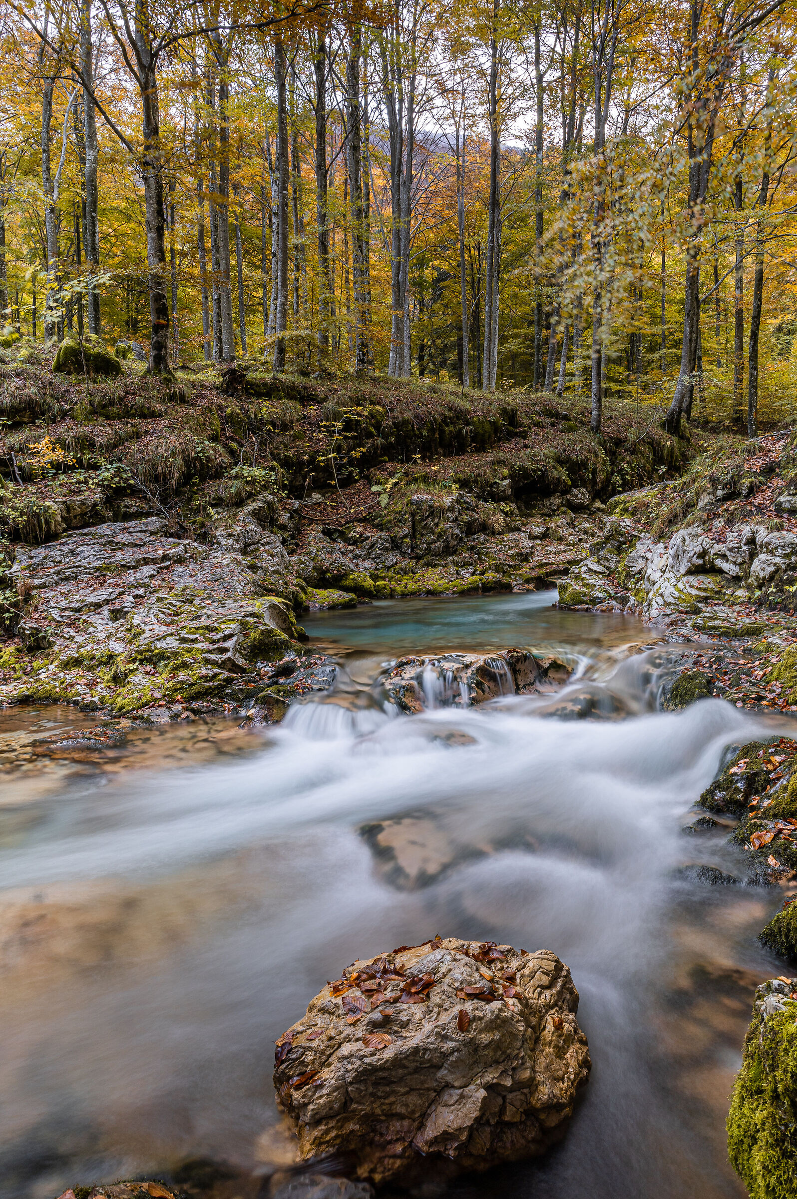 Arzino Waterfalls
