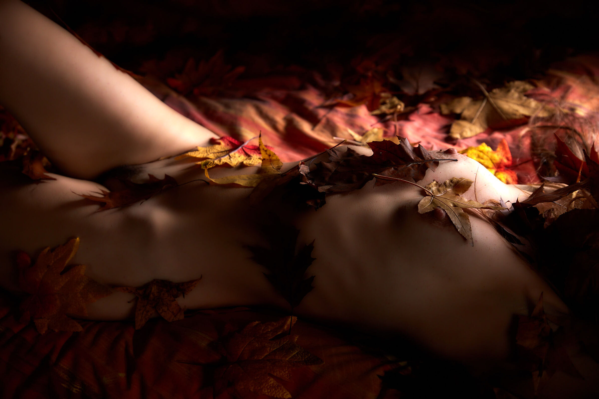 Foliage (again and again) - Alex