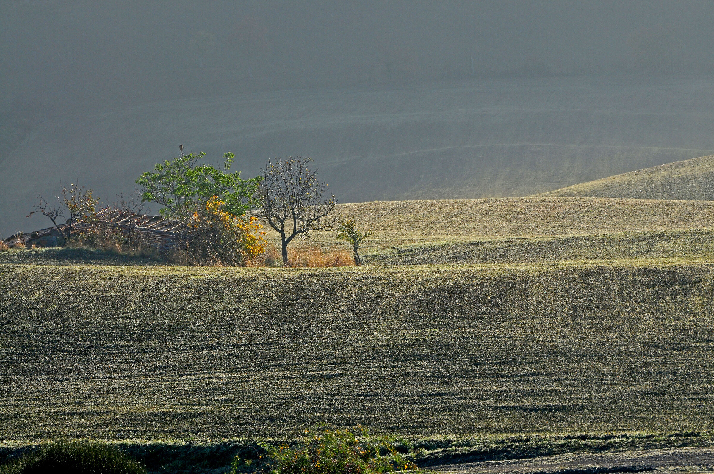 A November sunrise in Val d'Orcia