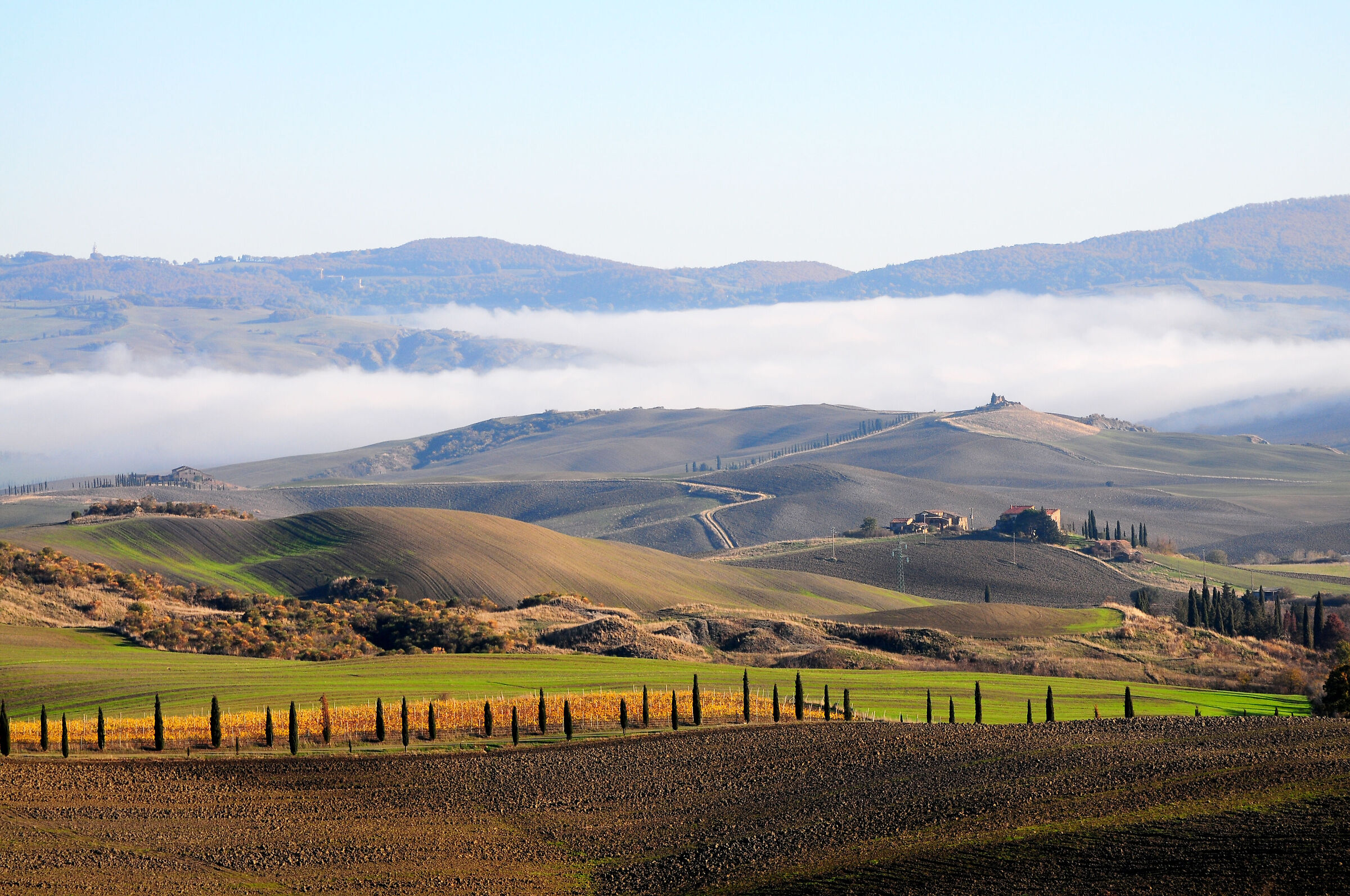 Val d'Orcia in November