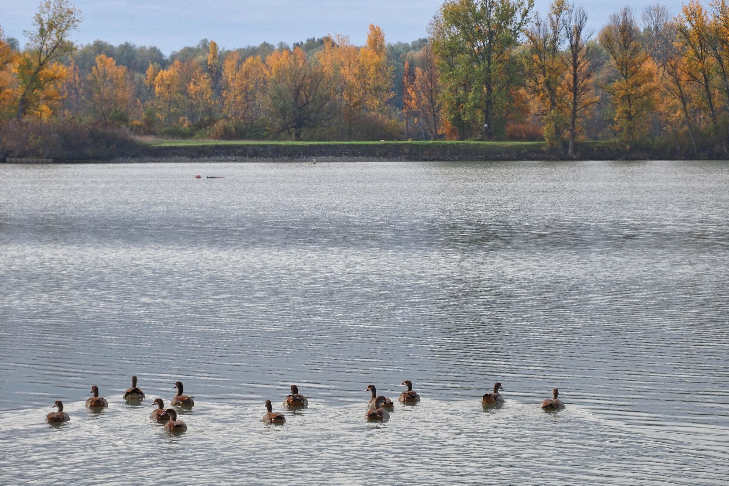 Curiel Lakes - Campogalliano di Modena
