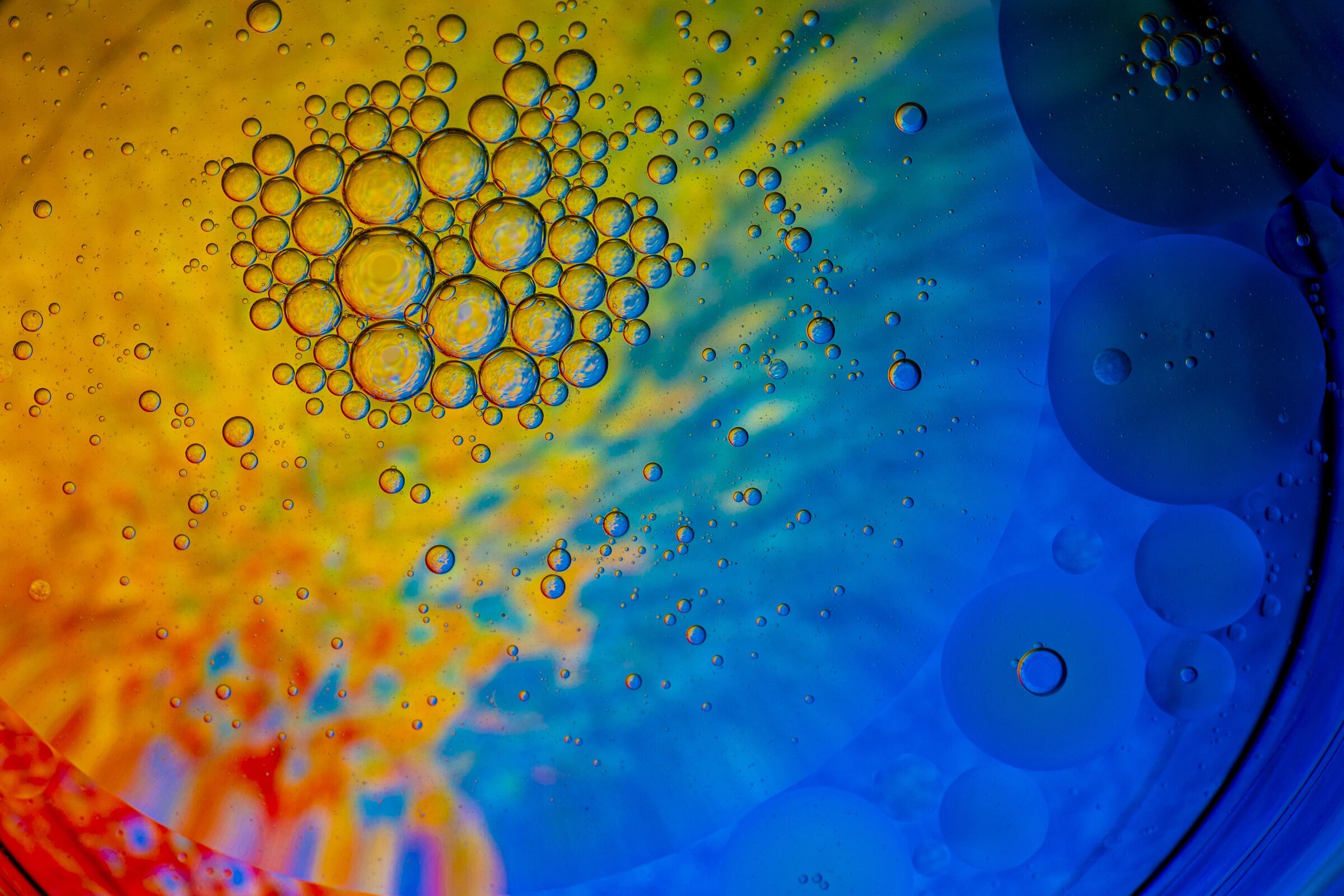 The color of the oil
