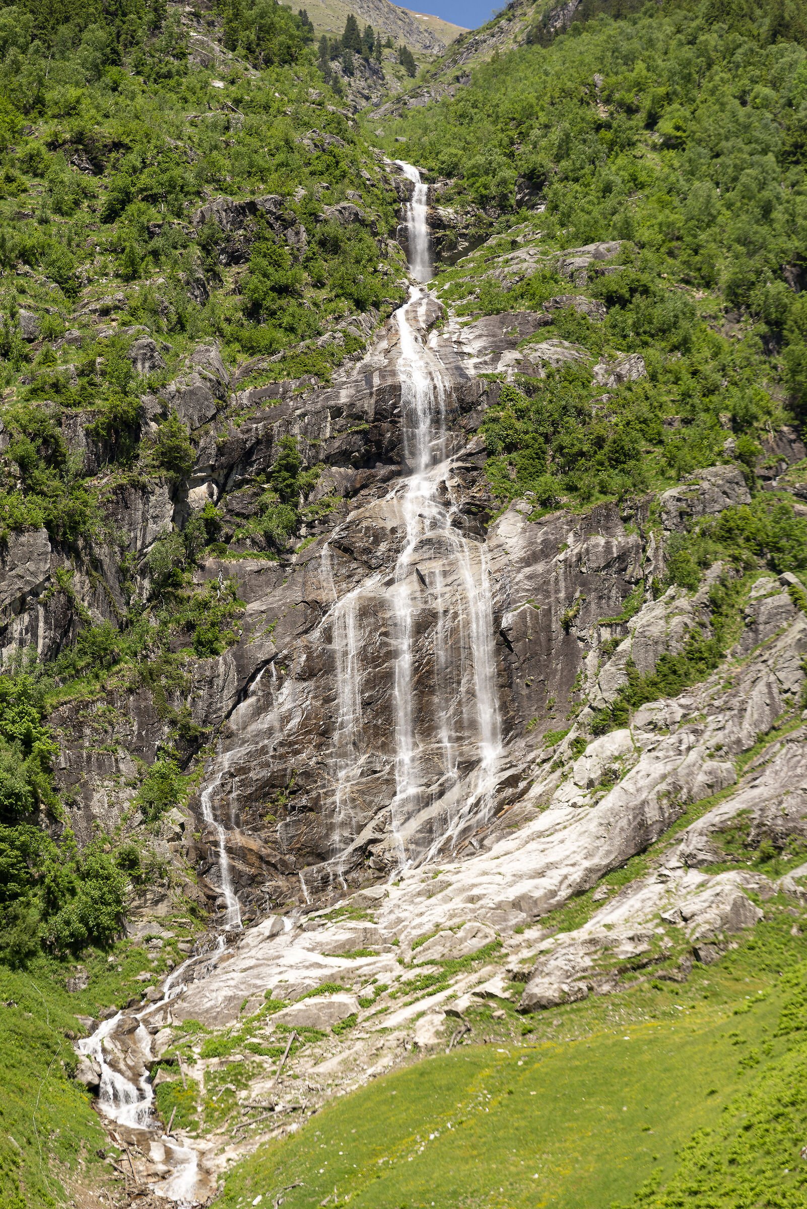 Le Origini del torrente