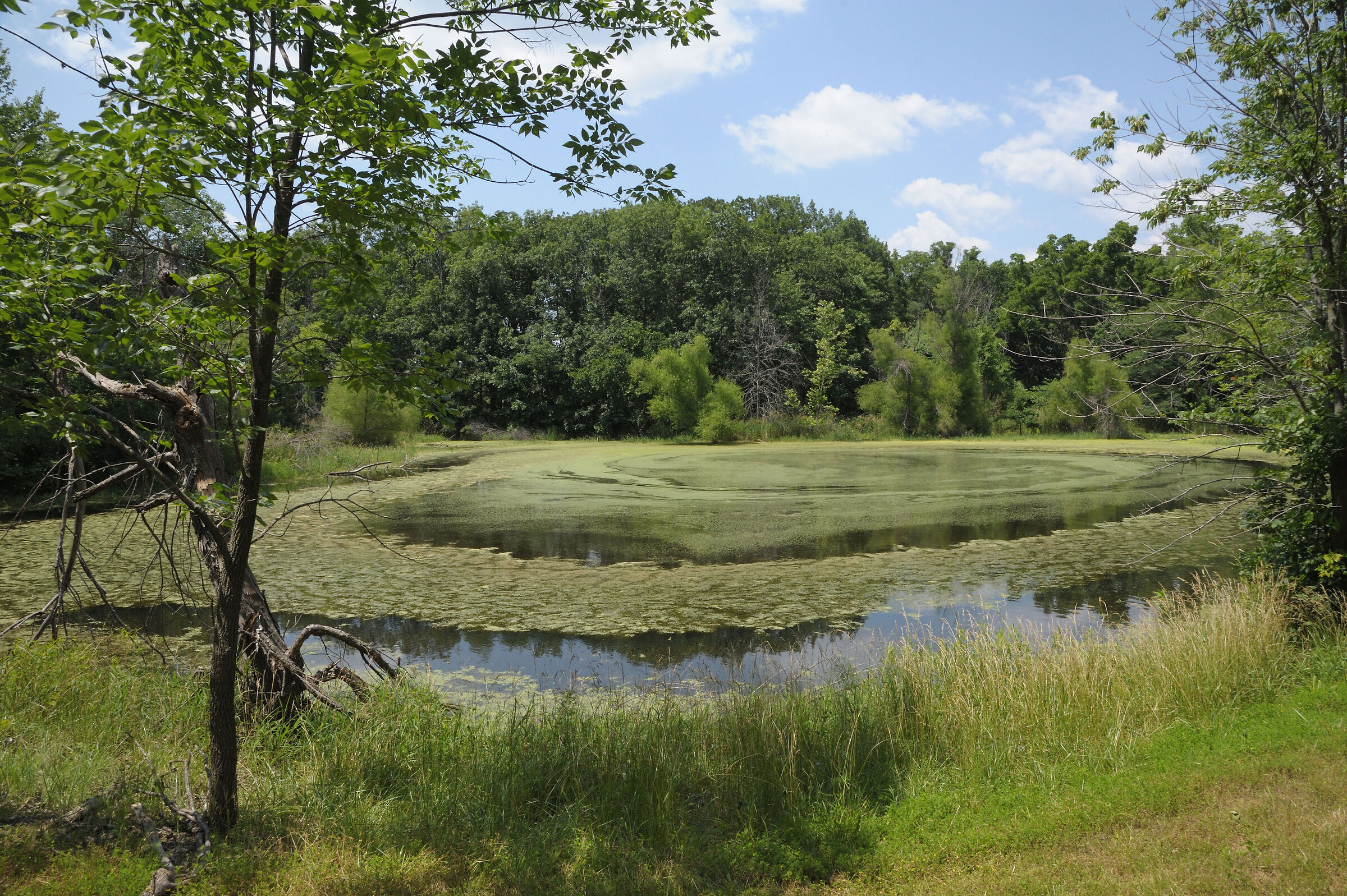 Pond, Missouri, Stati Uniti
