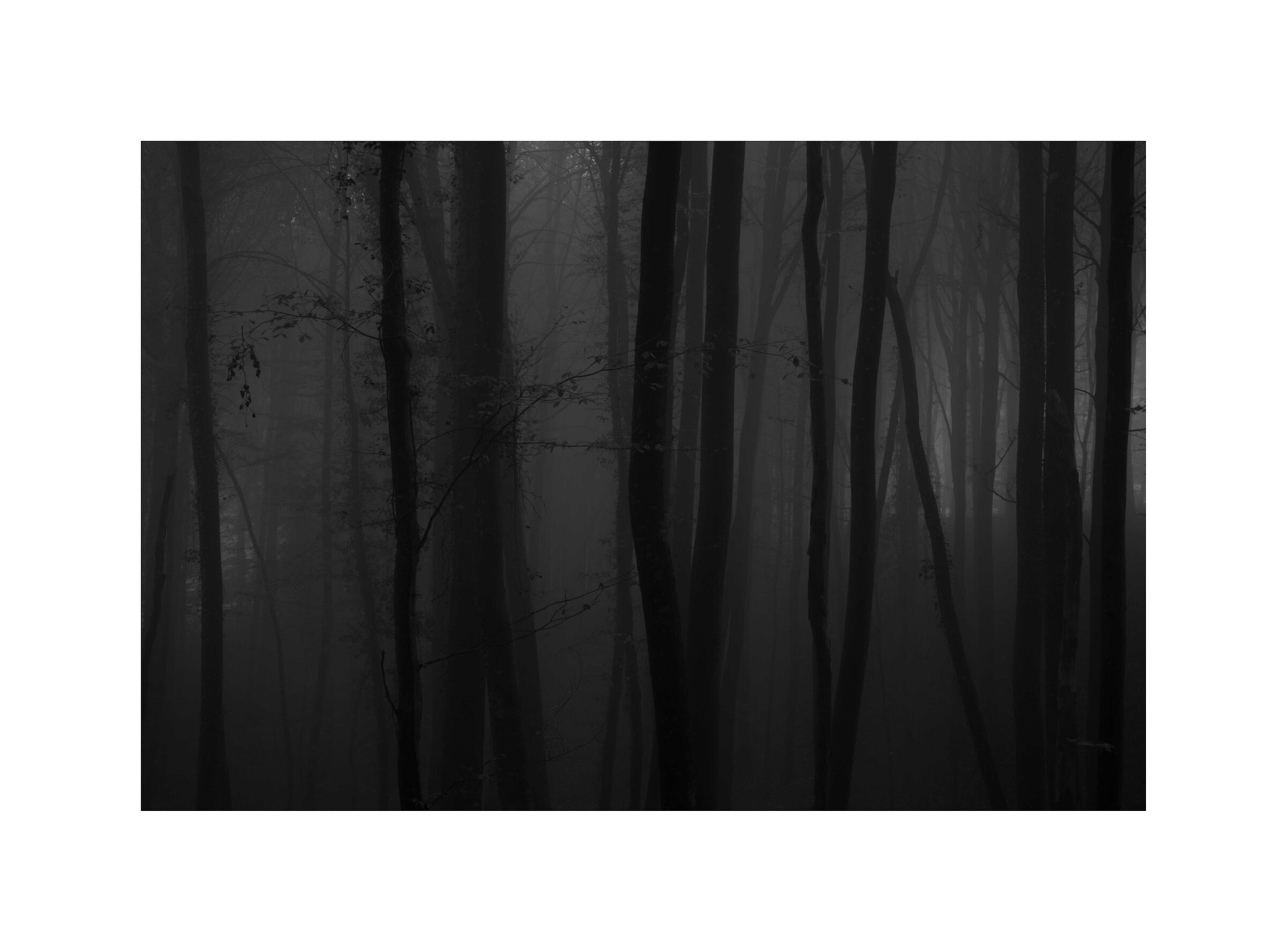 Dark