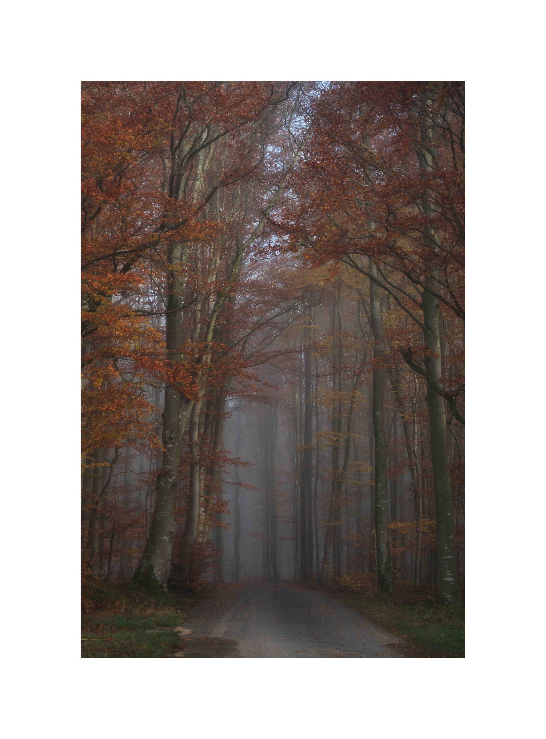 Autumn in Luxembourg