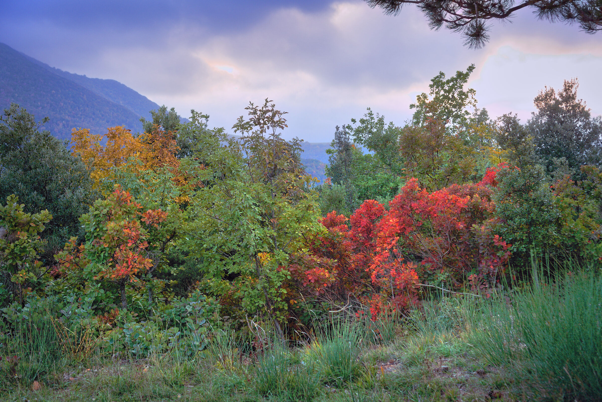 I colori della nostalgia