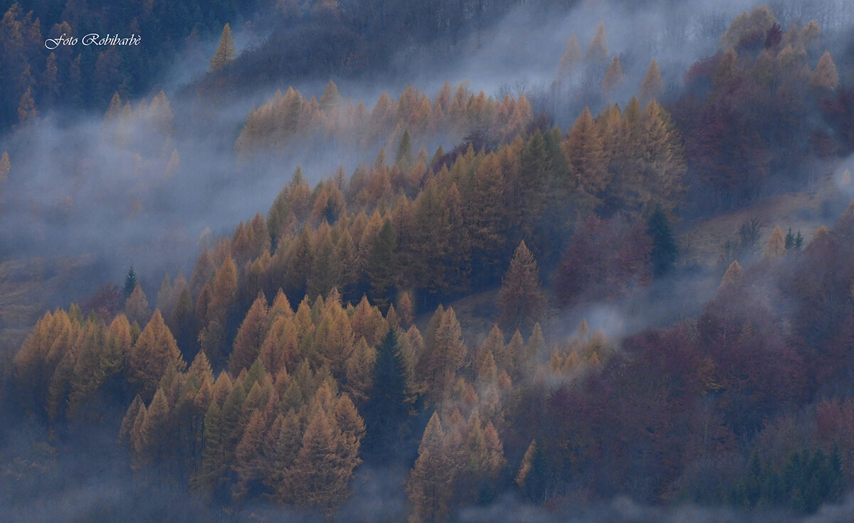 L'Autunno magicamente avanza...