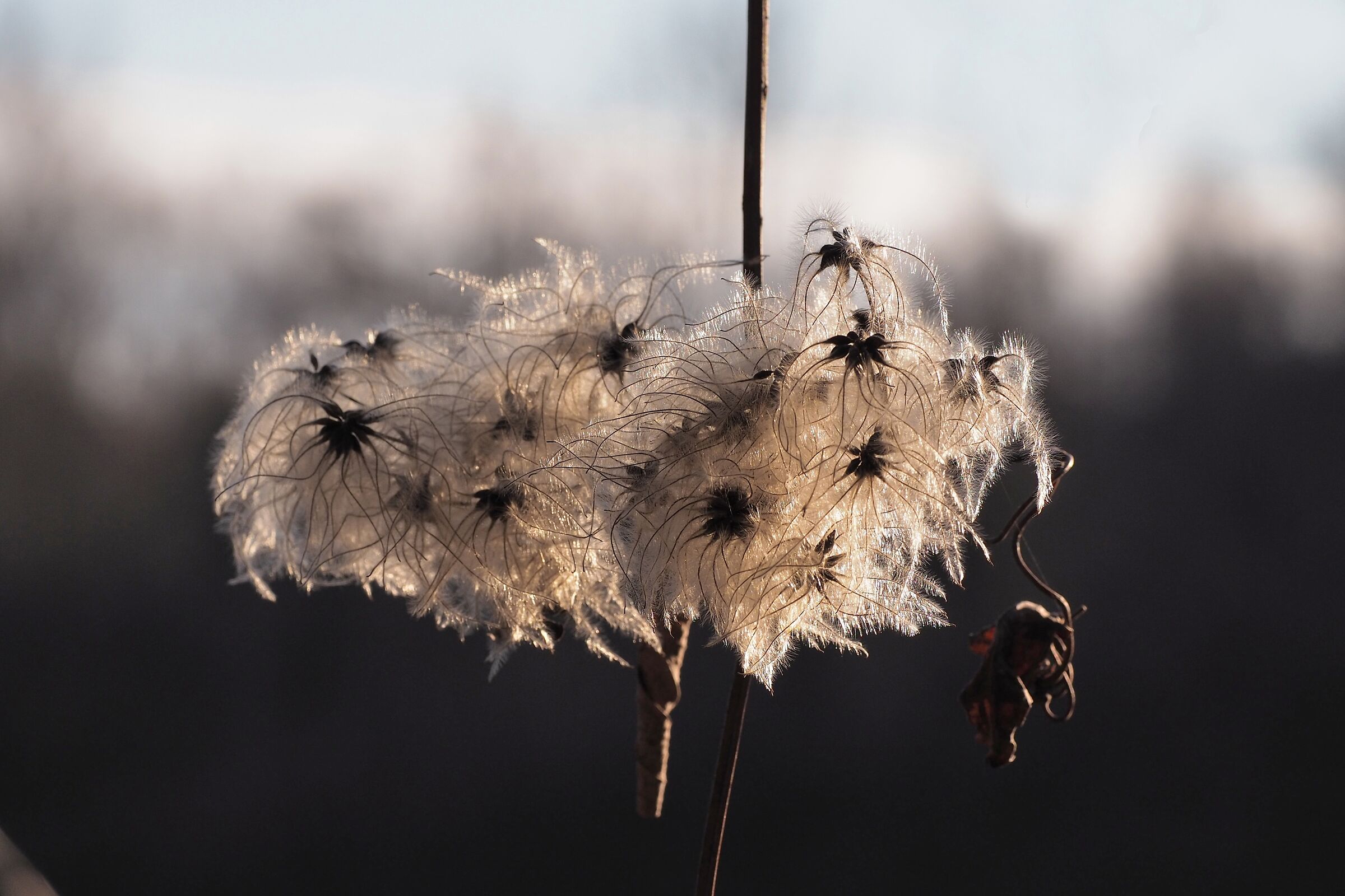 Untitled Photo
