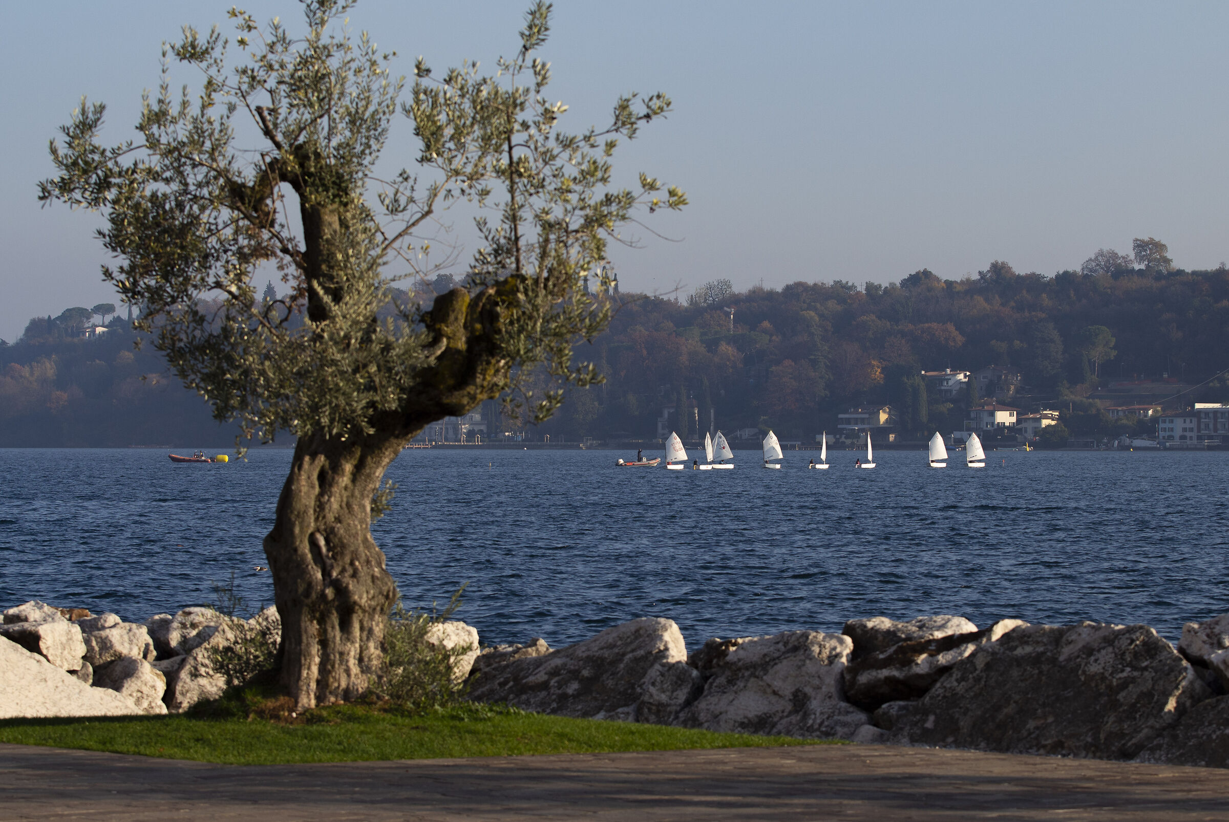 Saló, Lago di garda